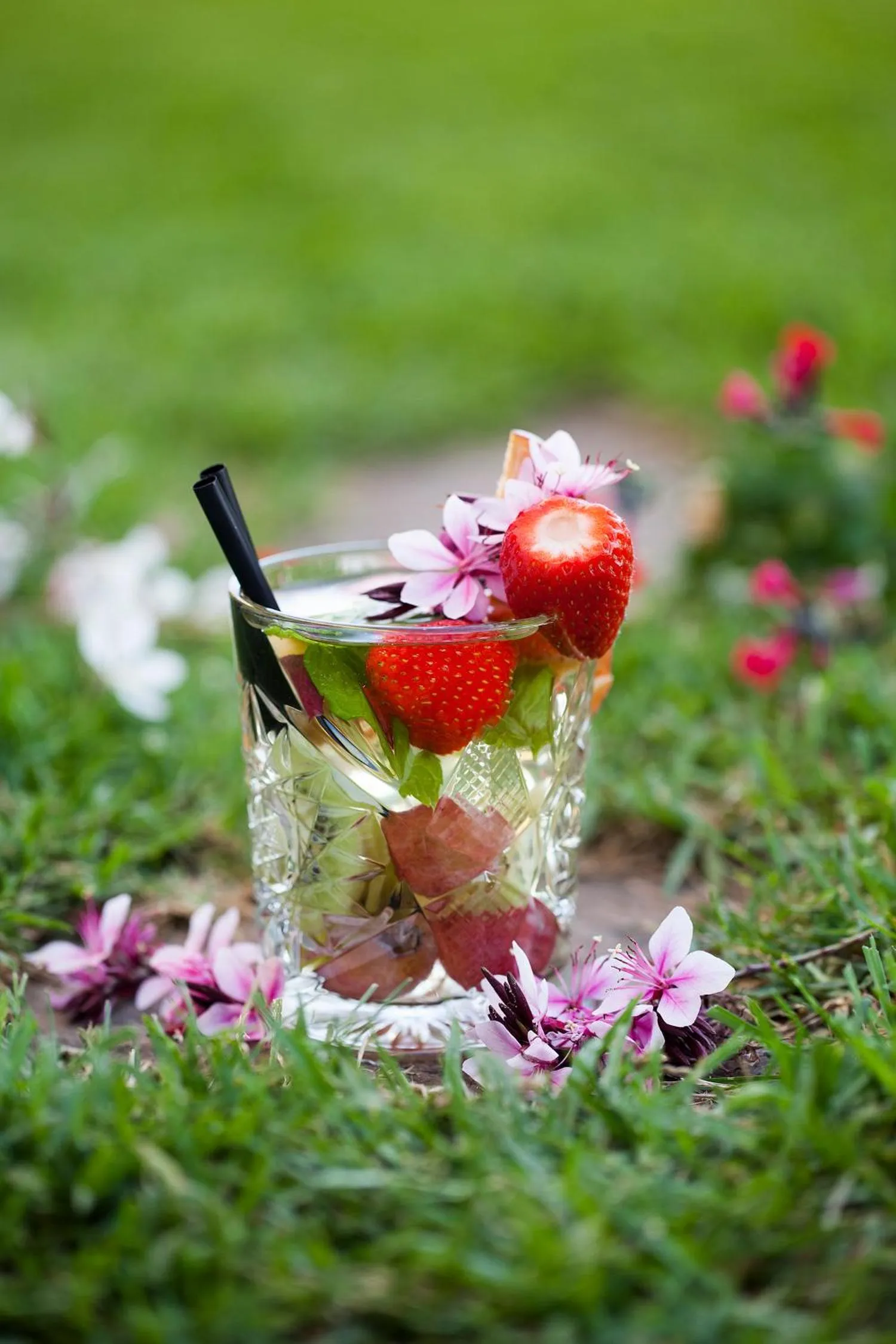 Food and drinks in Almadraba Park Hotel