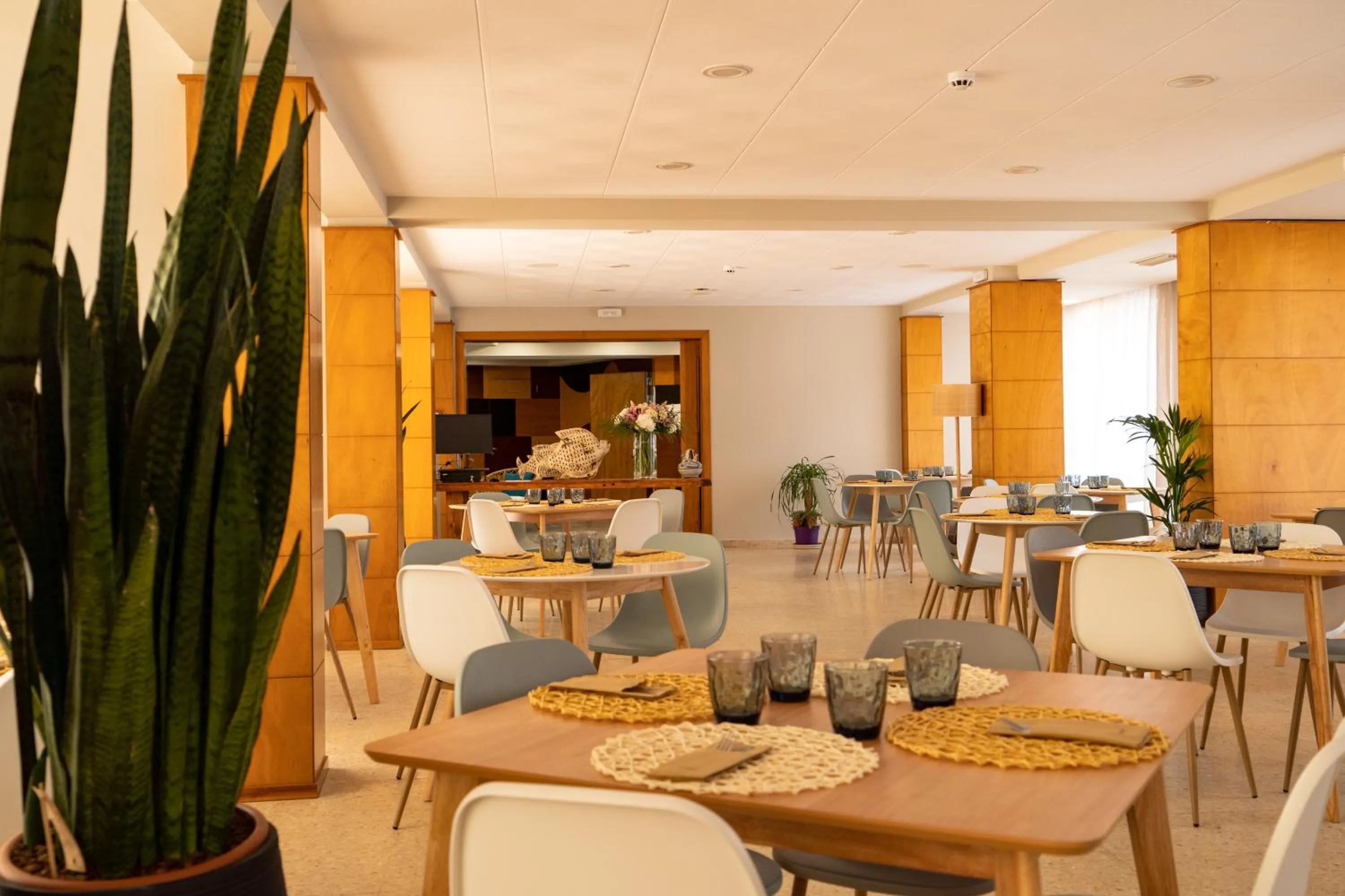 Restaurant/places to eat in Hotel Aubí