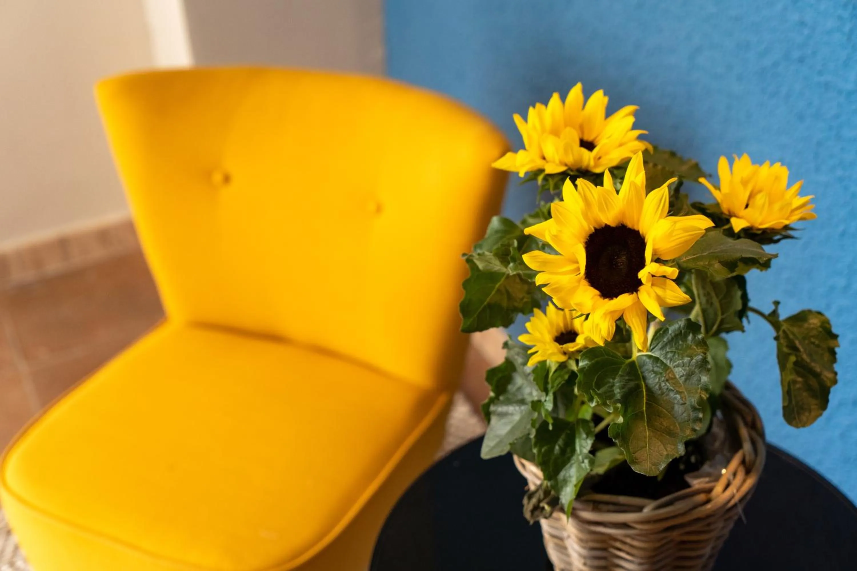 Property building in Hotel Aubí