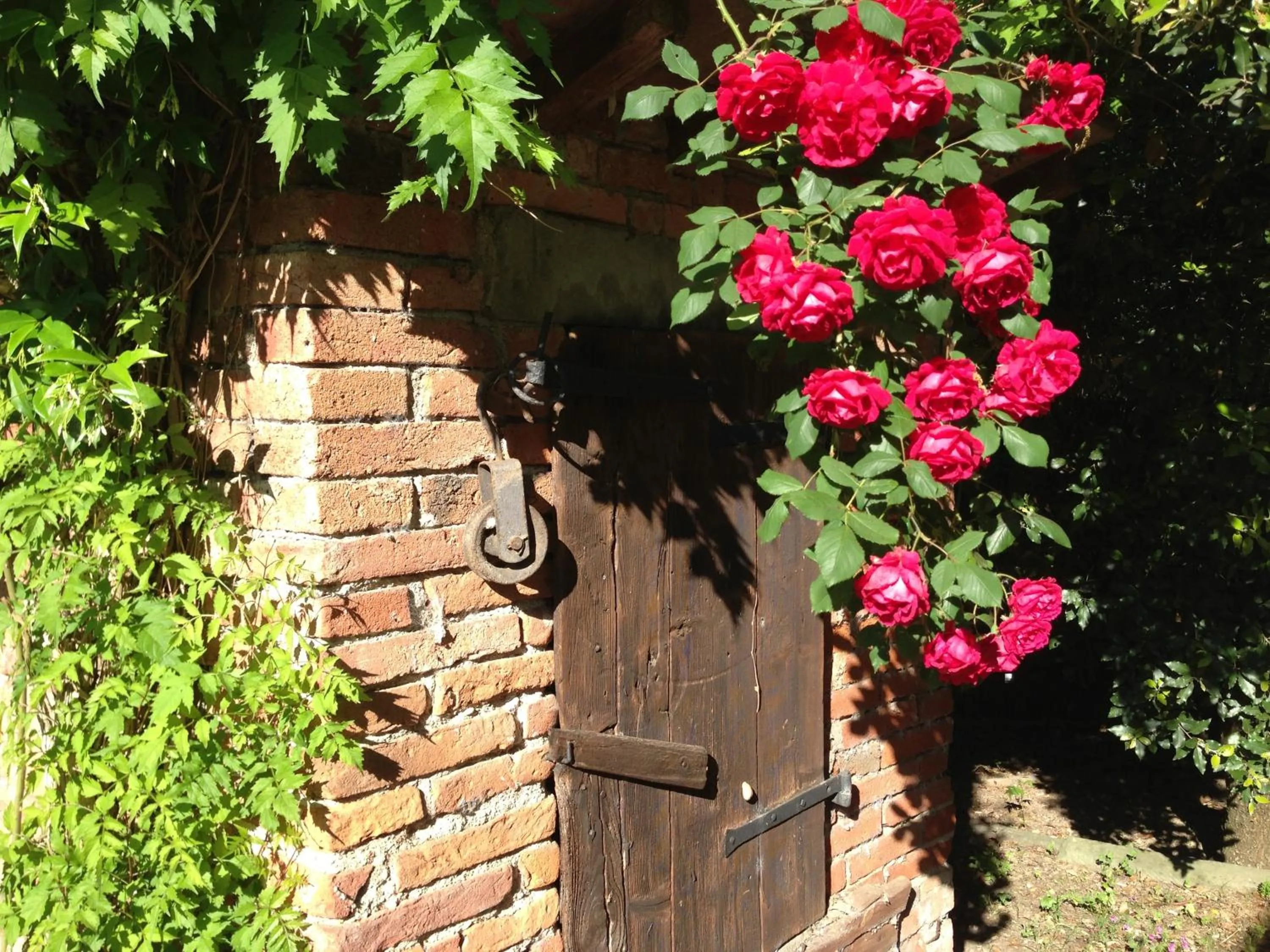 Garden in Il Poggiolo Delle Rose Bed&Breakfast