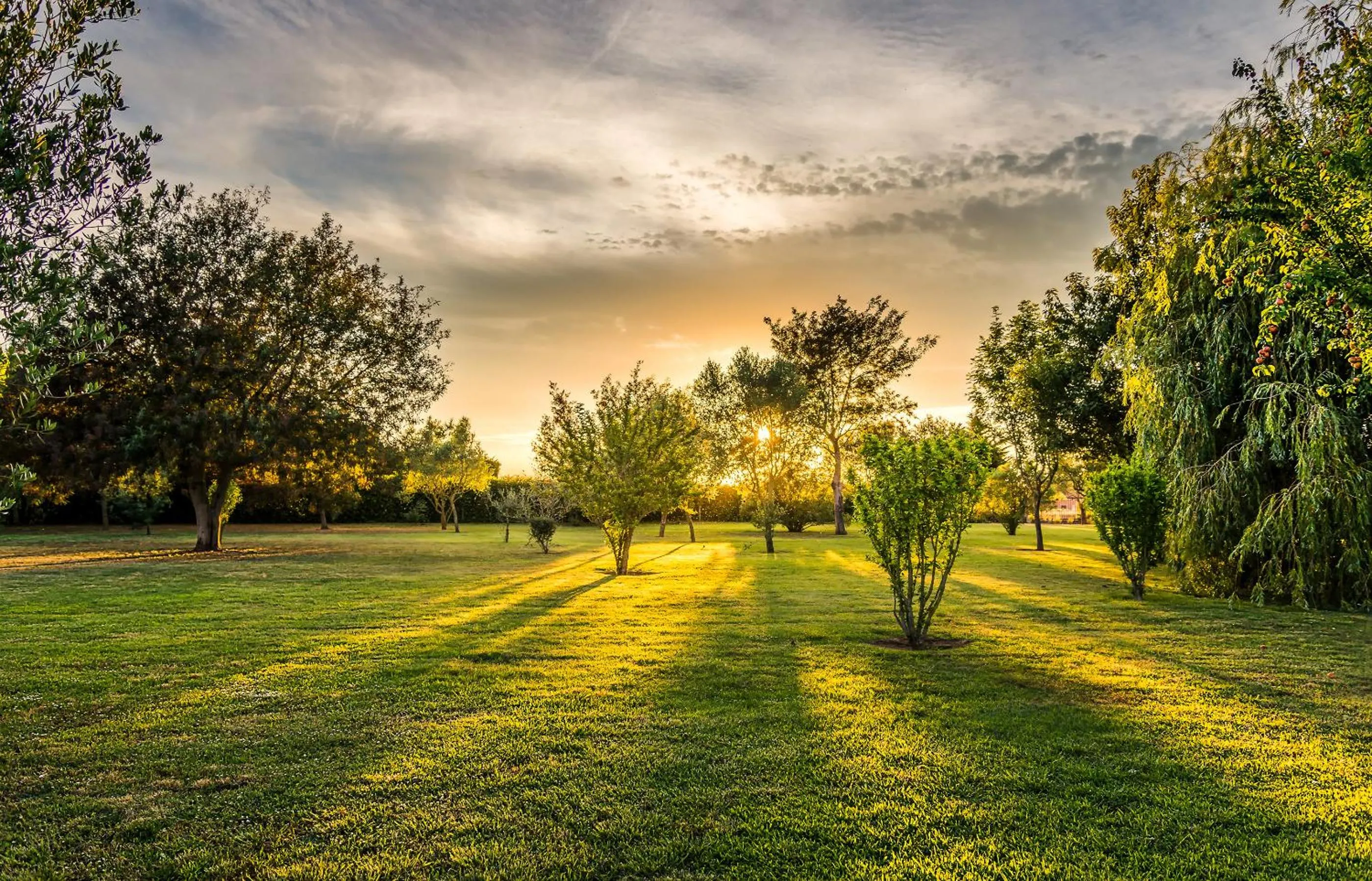 Garden view in Hotel Mas Rabiol -Emporda-Only Adults-Eco Hotel