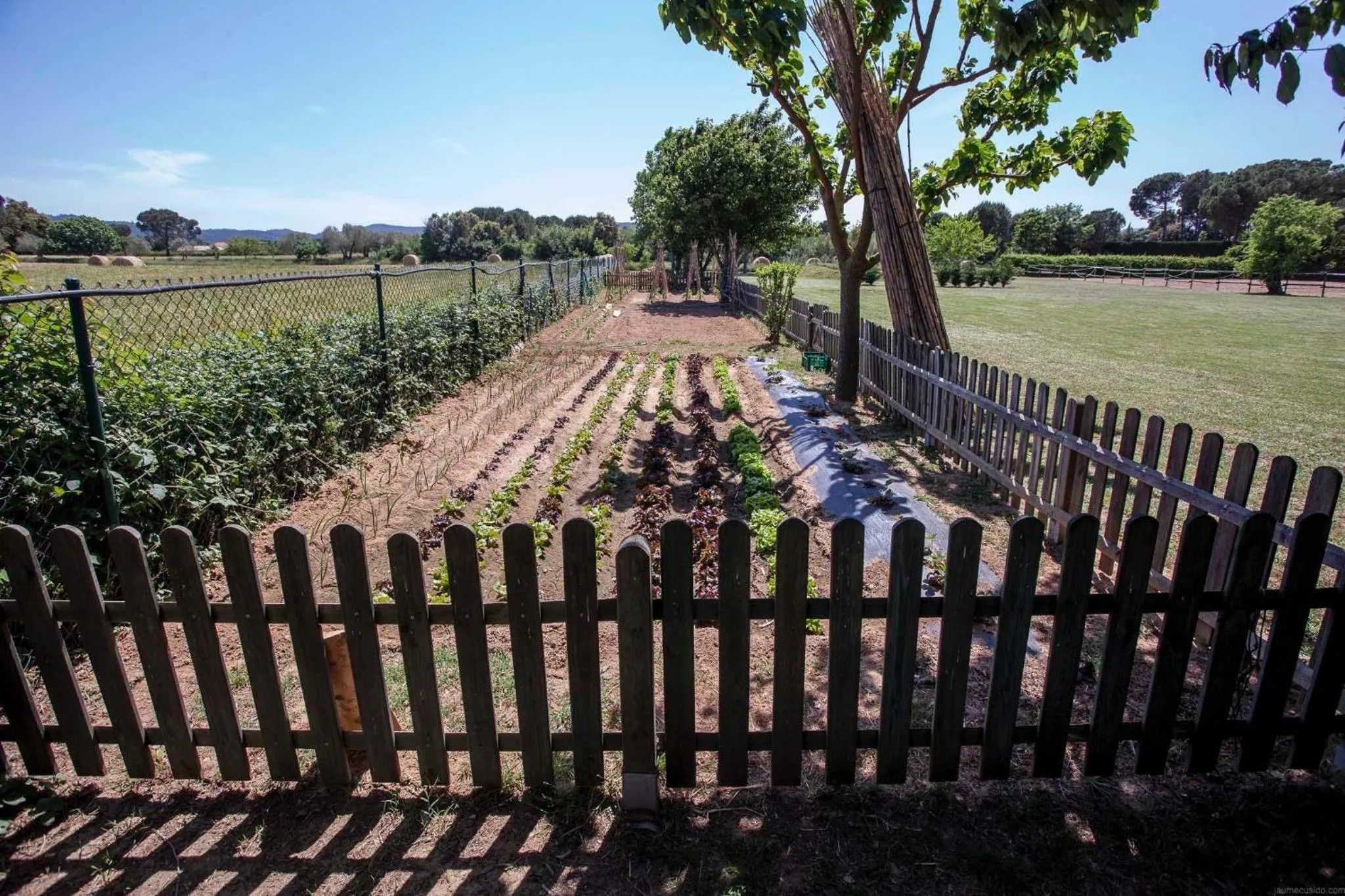 Other in Hotel Mas Rabiol -Emporda-Only Adults-Eco Hotel