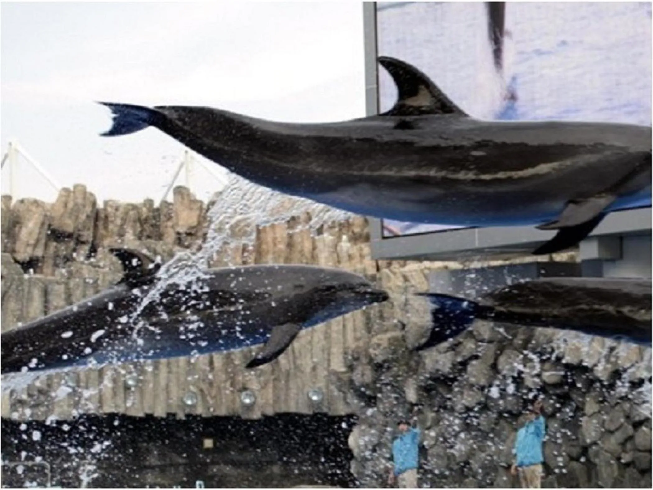 Other in Meitetsu Inn Nagoyaeki Shinkansenguchi