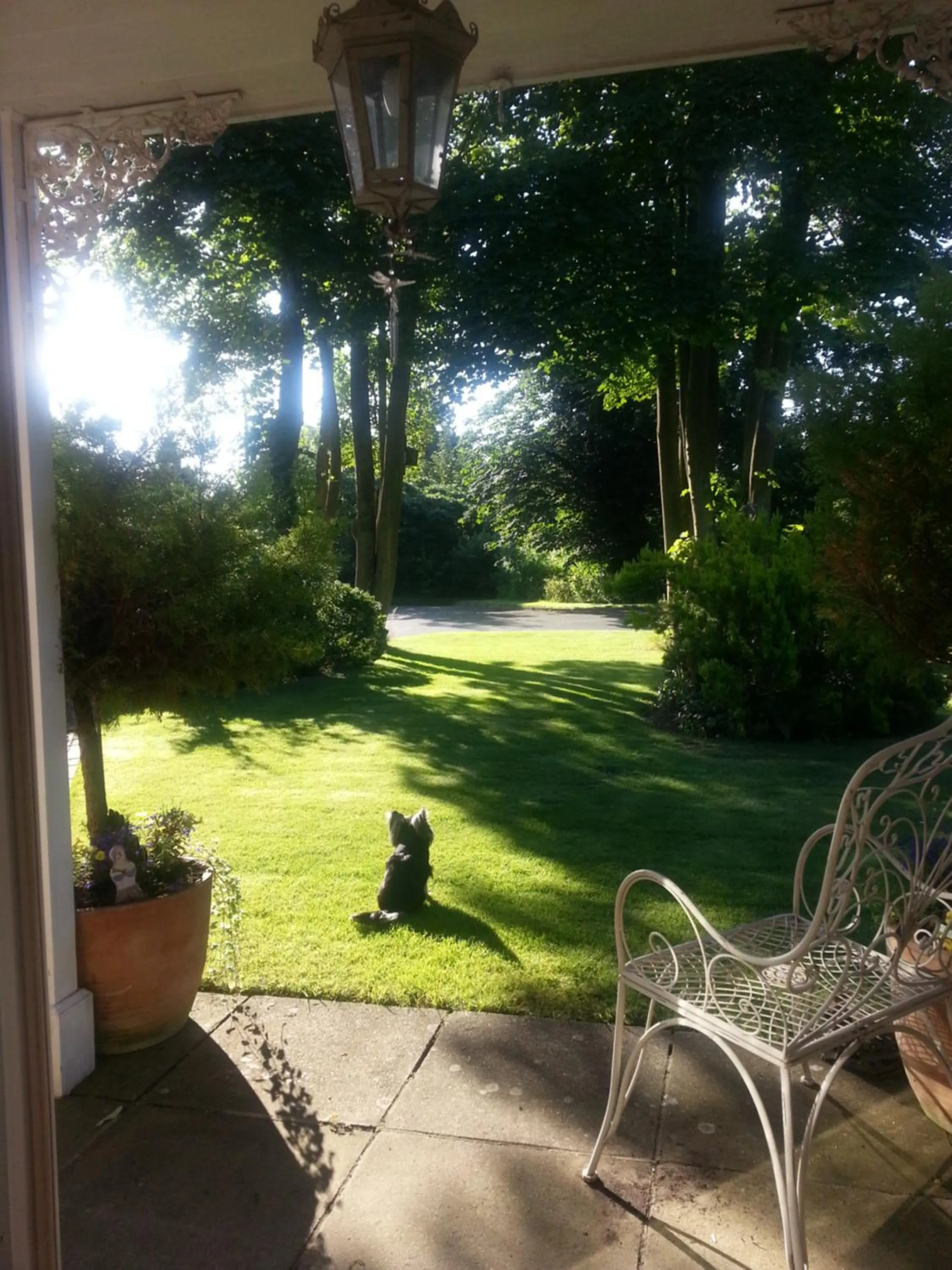 Pets in Folly Studio Bed and Breakfast