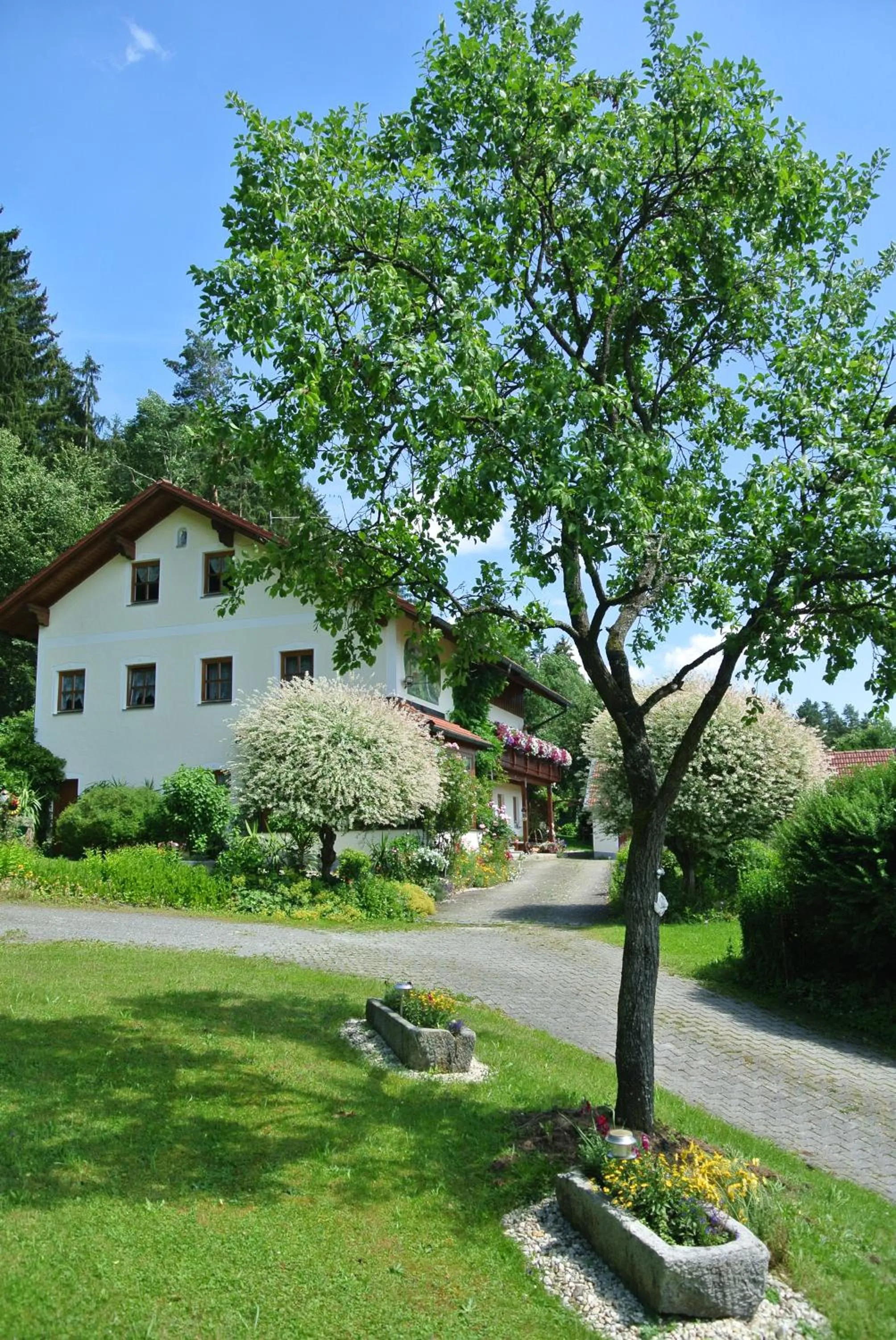 Facade/entrance in Haus Am Waldrand - Ferienwohnung Augustin