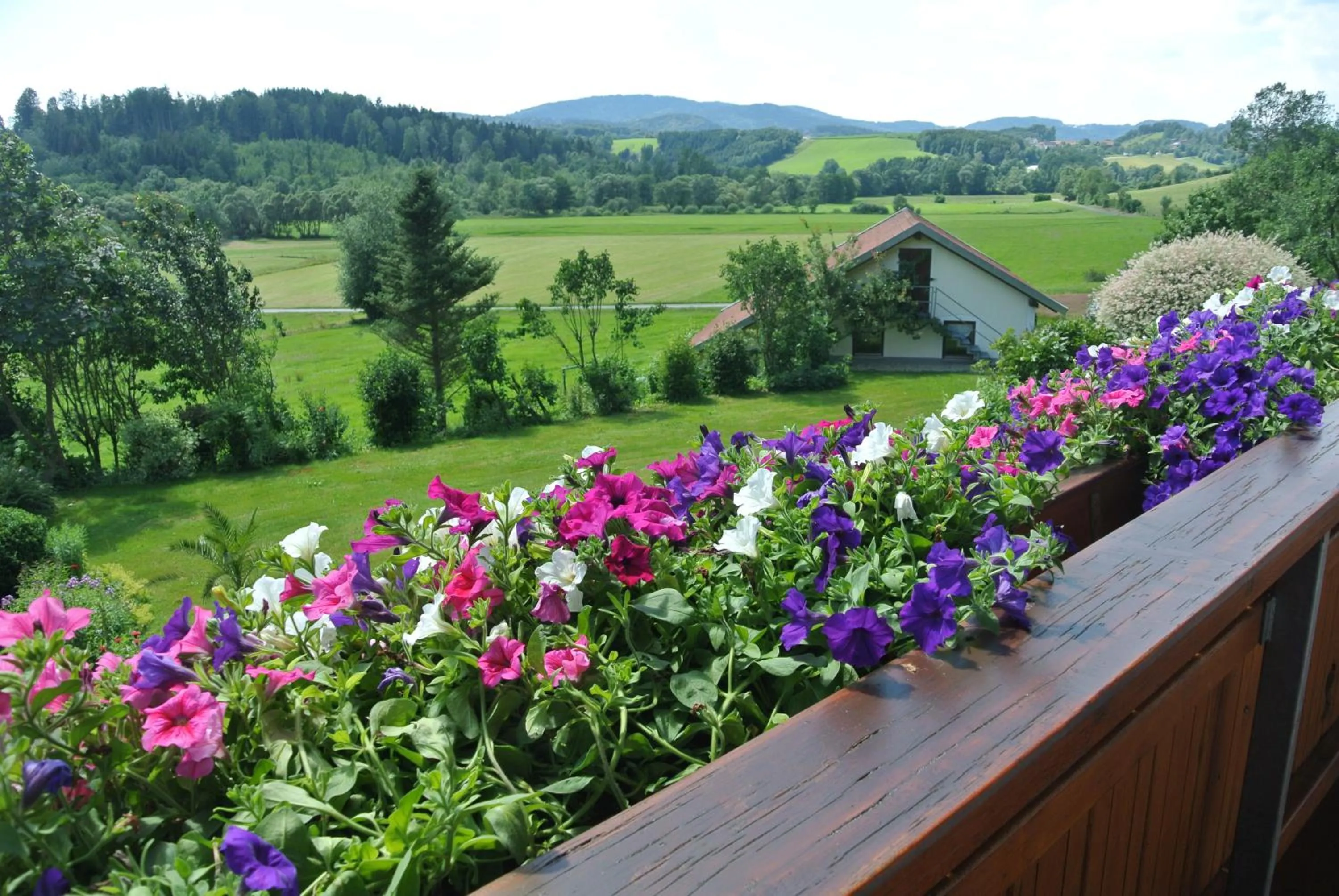 Balcony/Terrace in Haus Am Waldrand - Ferienwohnung Augustin