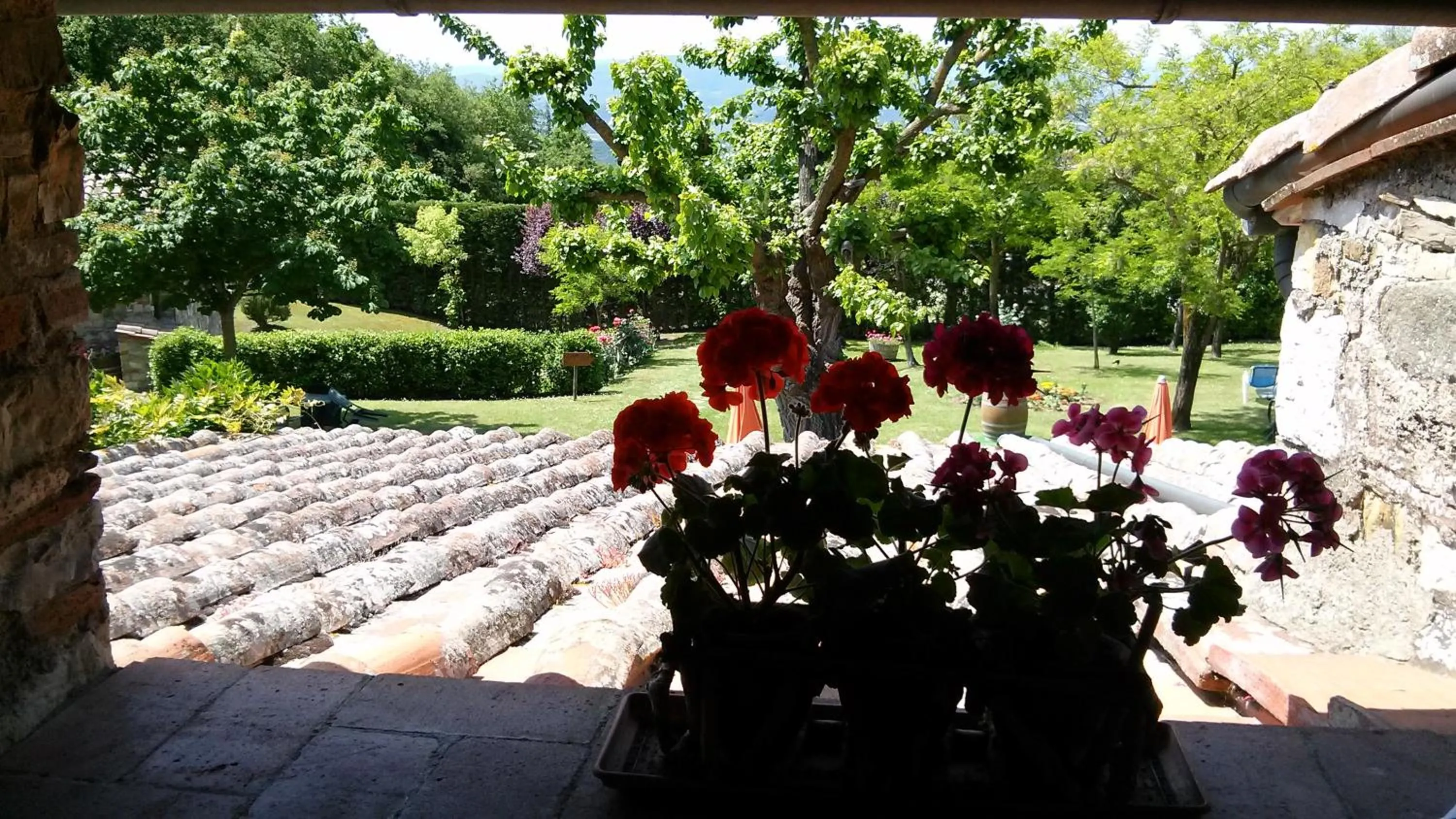 Balcony/Terrace in Hotel Colle Etrusco Salivolpi