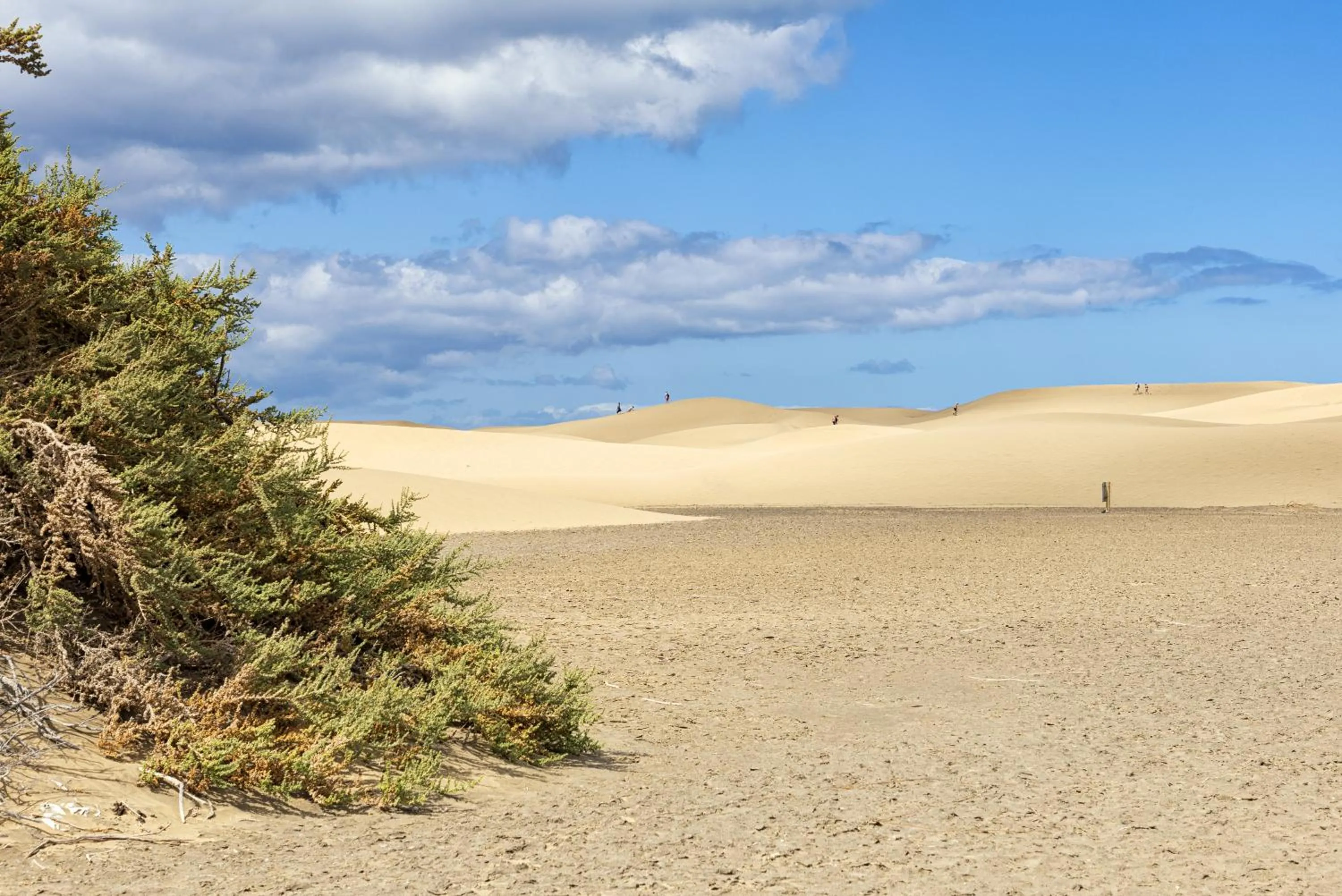 Natural landscape in Smartr Maspalomas Corinto