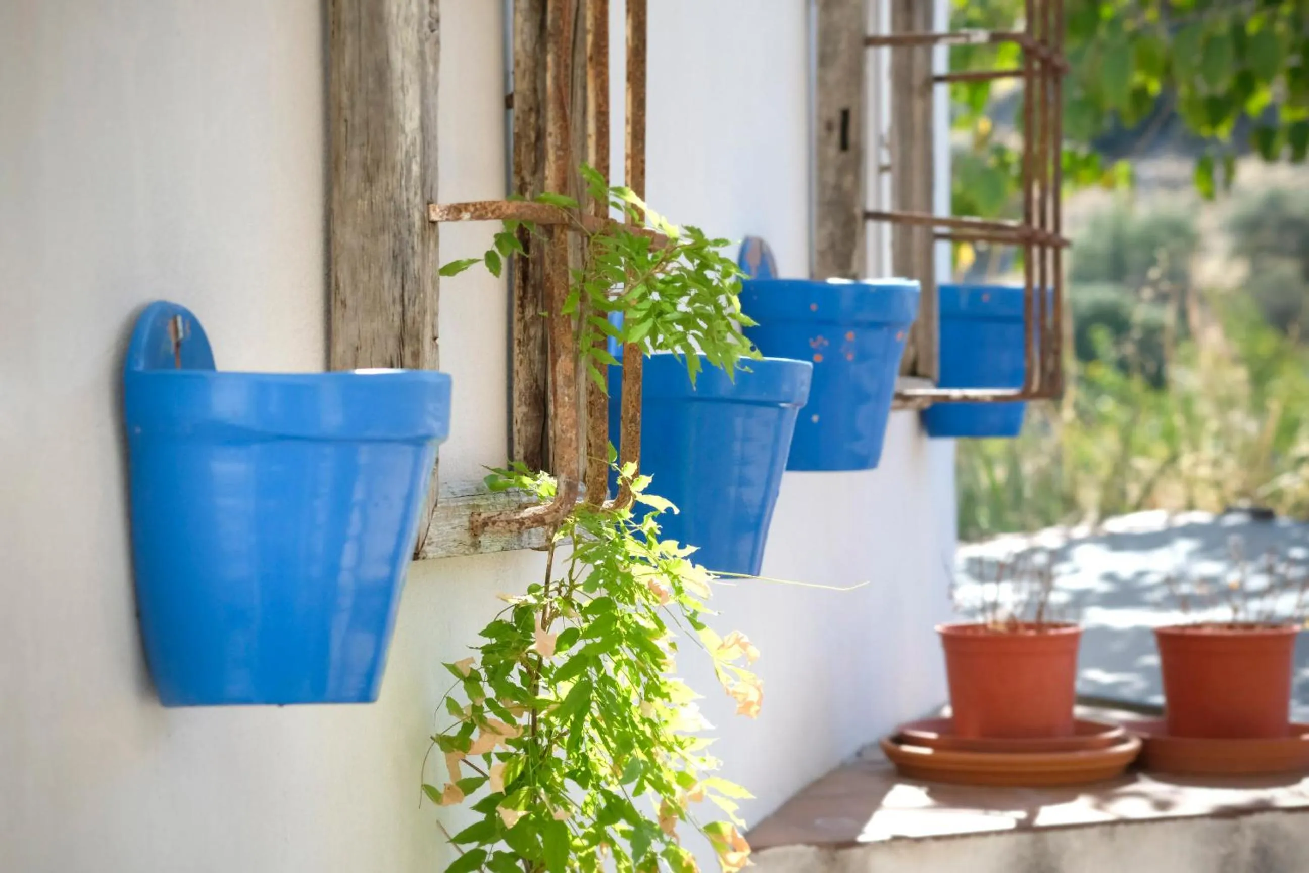 Garden view in Los Castillarejos Apartamentos Rurales
