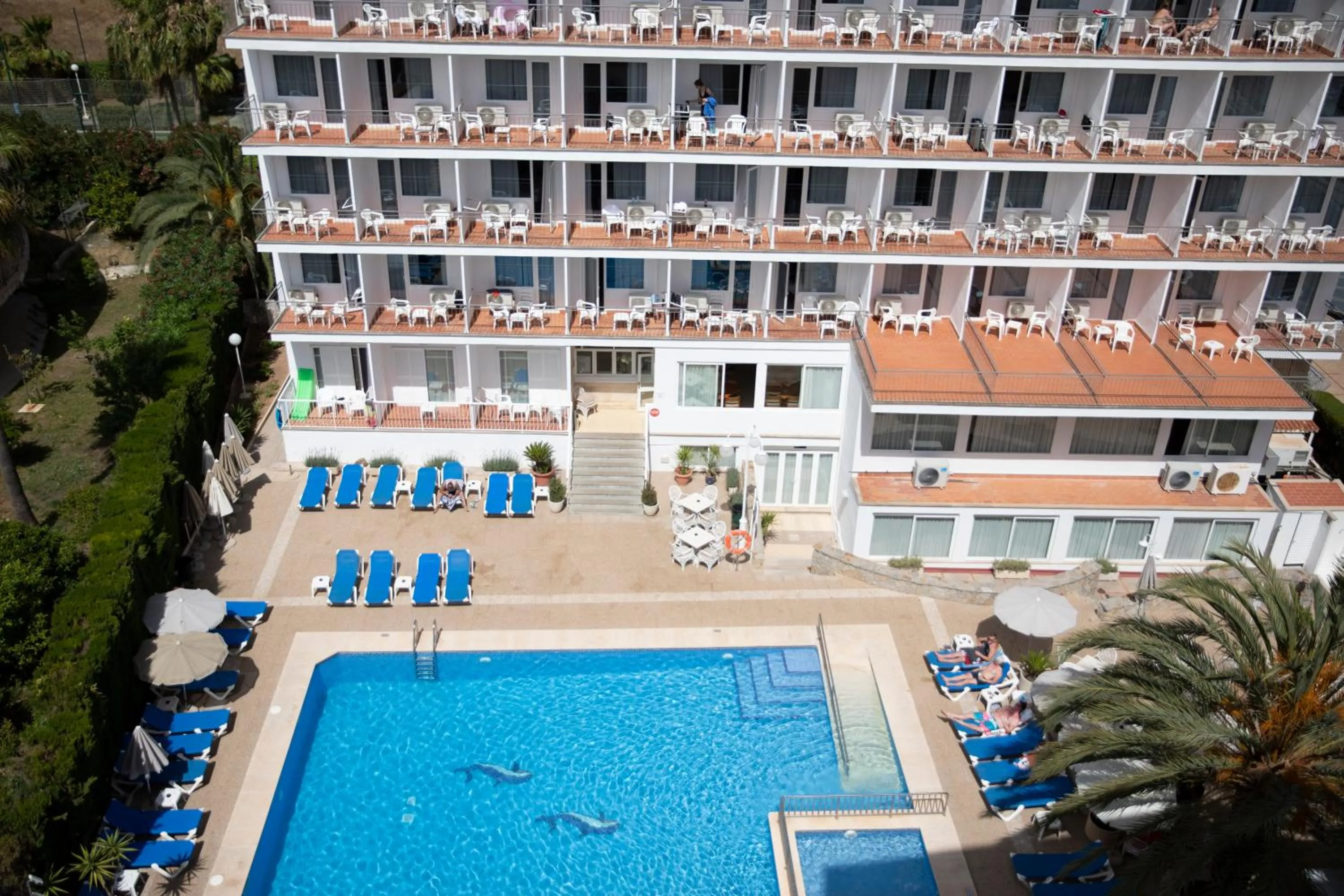 Swimming pool in Hotel Don Miguel Playa