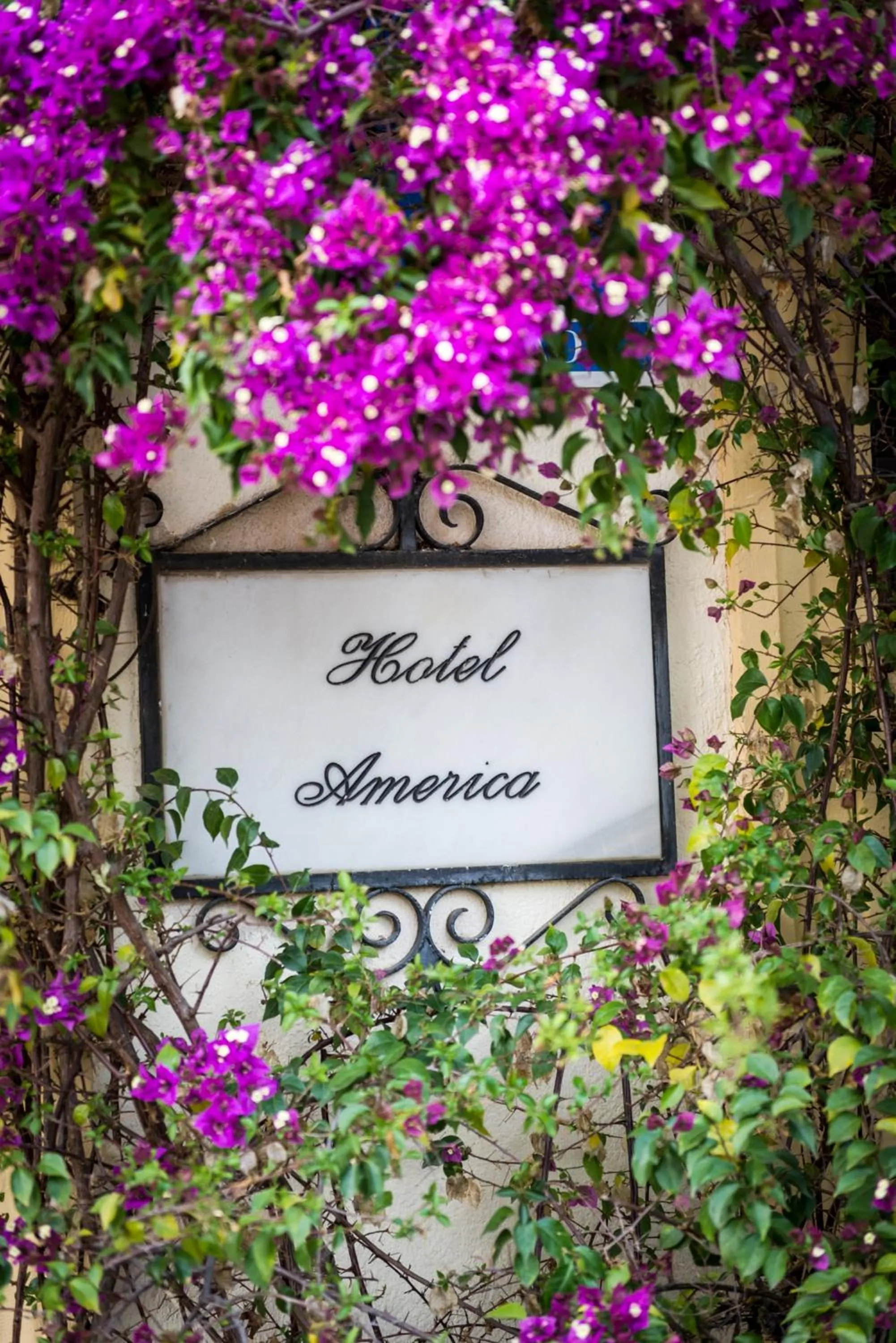 Off site in Hotel América