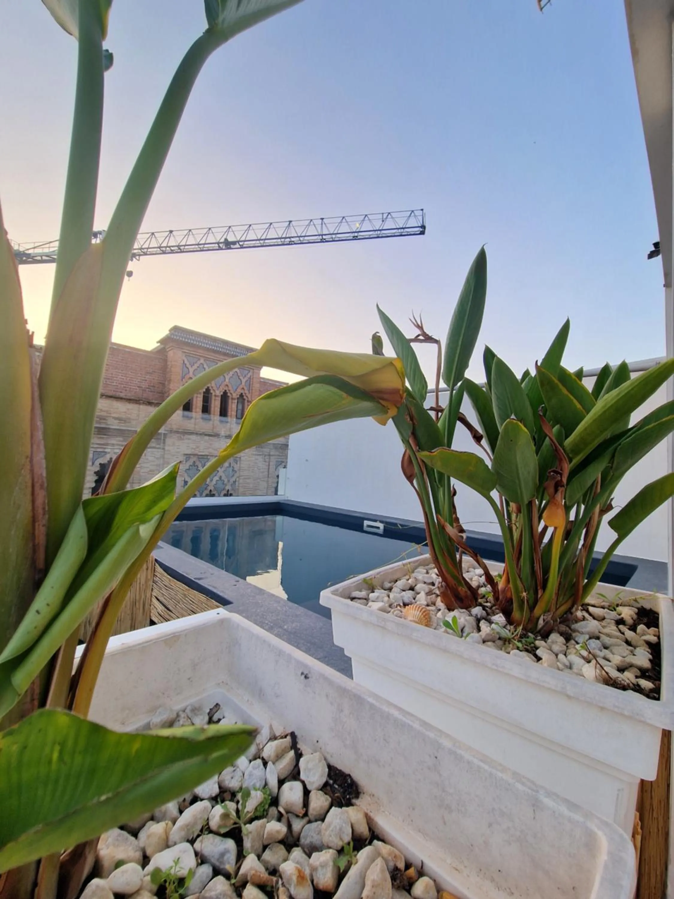 Swimming pool in Hotel y Apartamentos Doña Lola