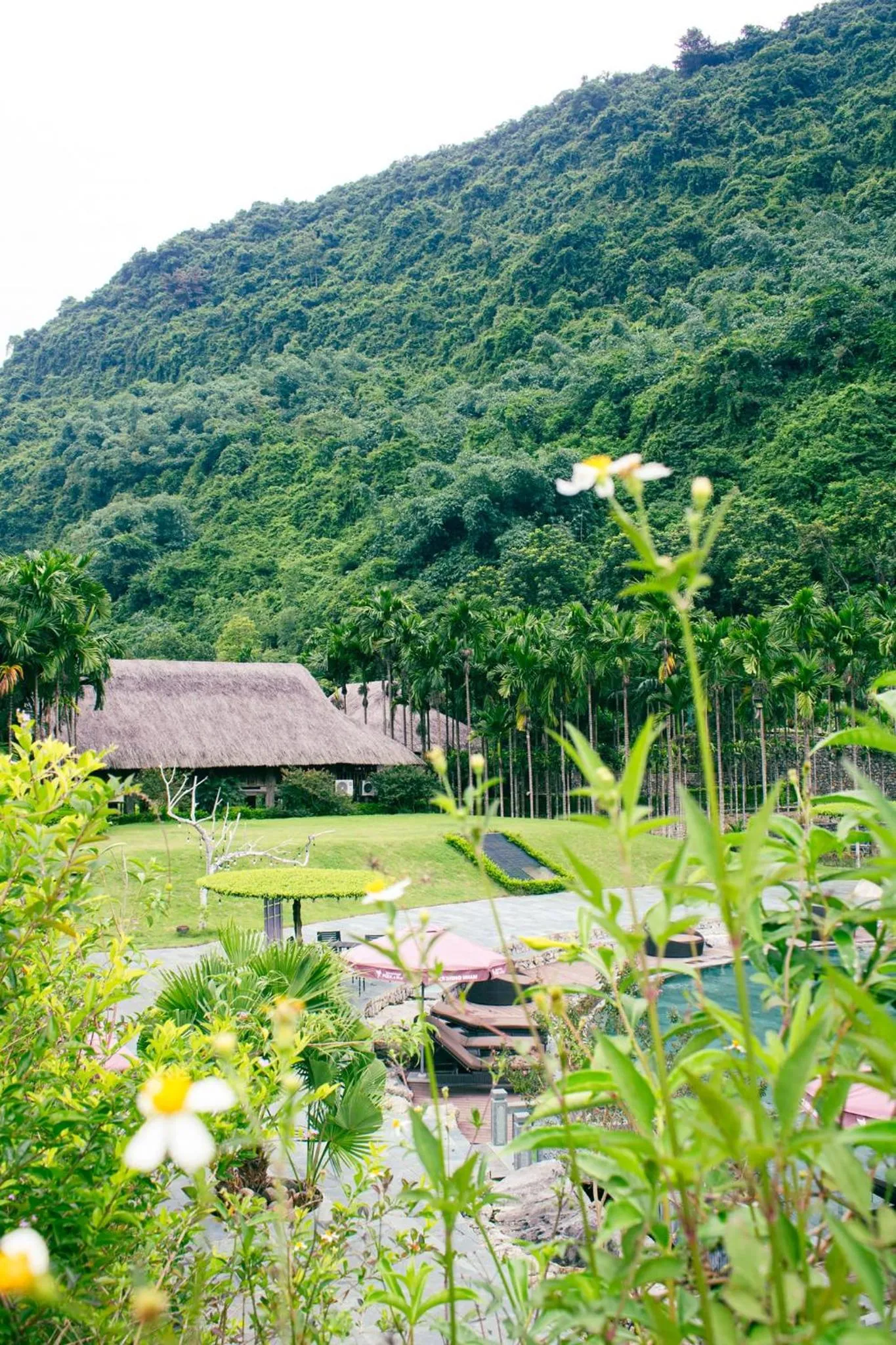 Swimming pool in Thung Nham Resort