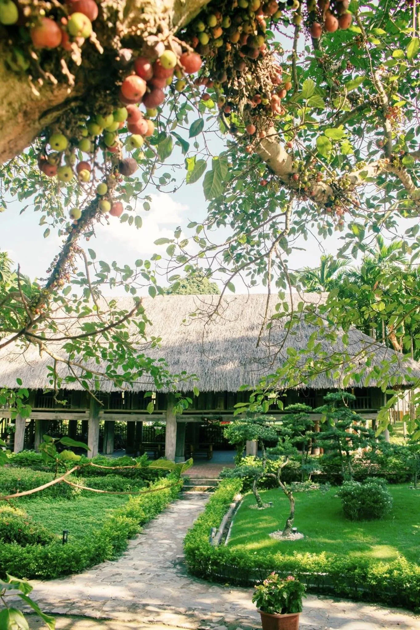 Natural landscape in Thung Nham Resort