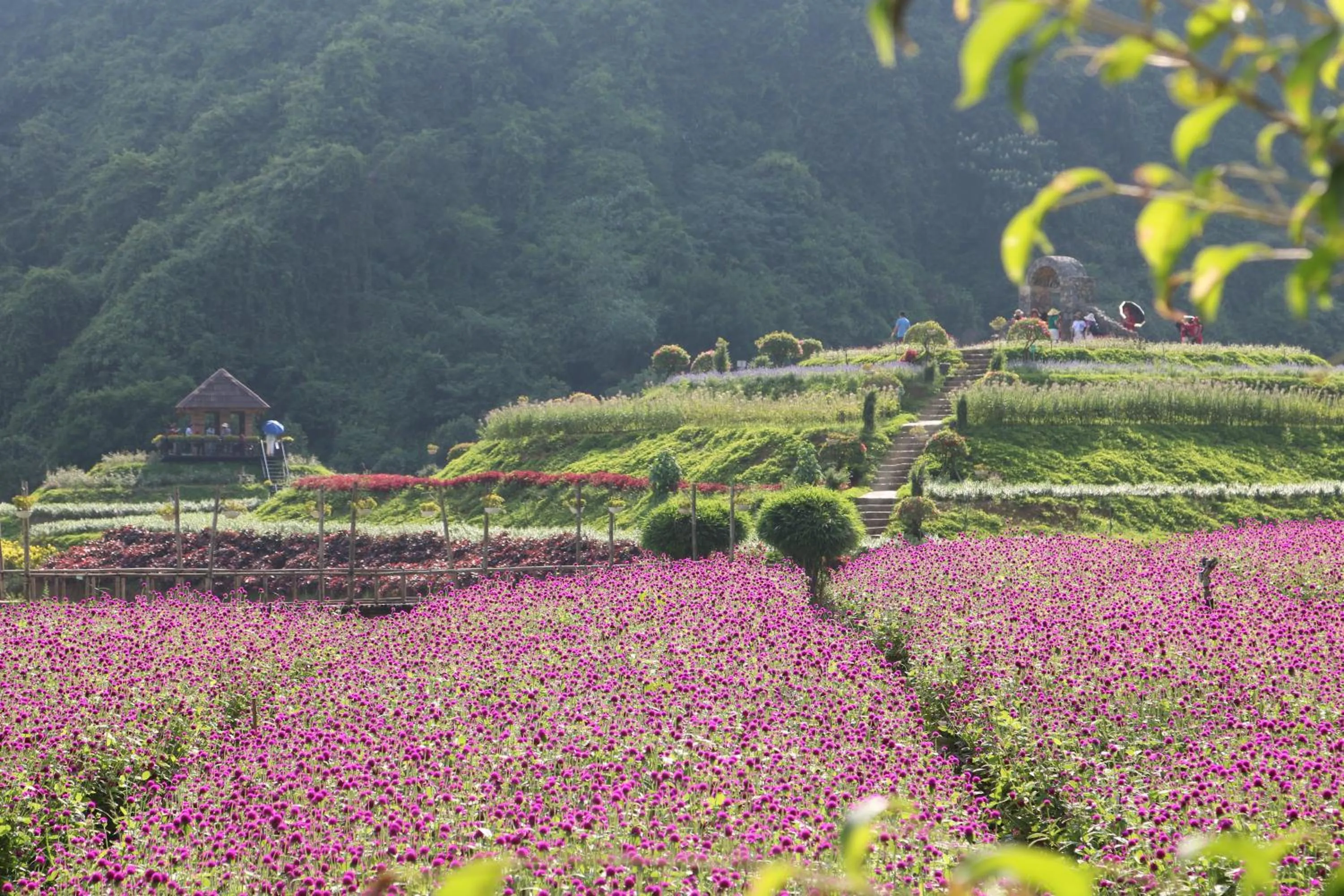 Natural landscape in Thung Nham Resort