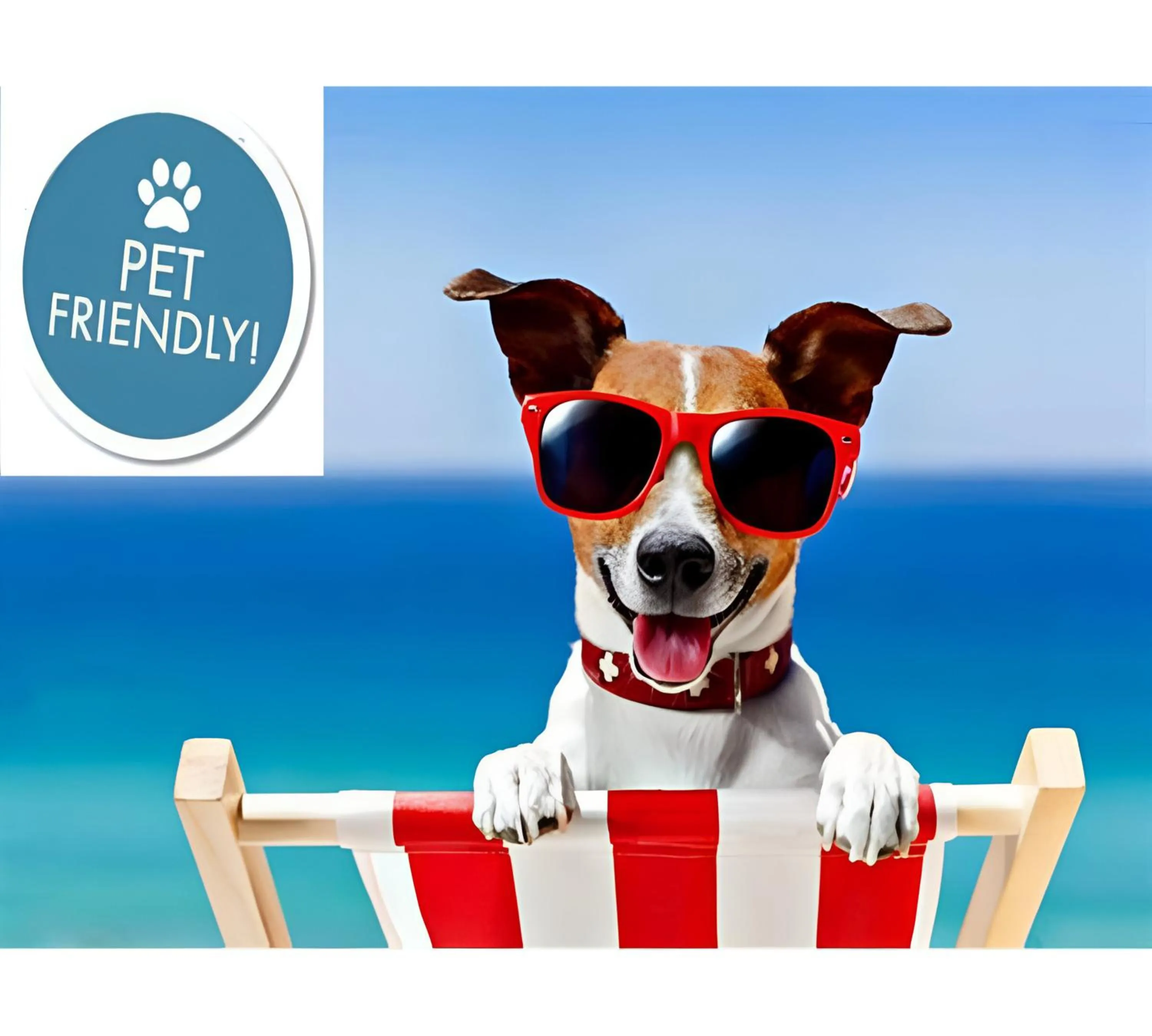 Pets in Hotel Apartamentos Londres La Manga