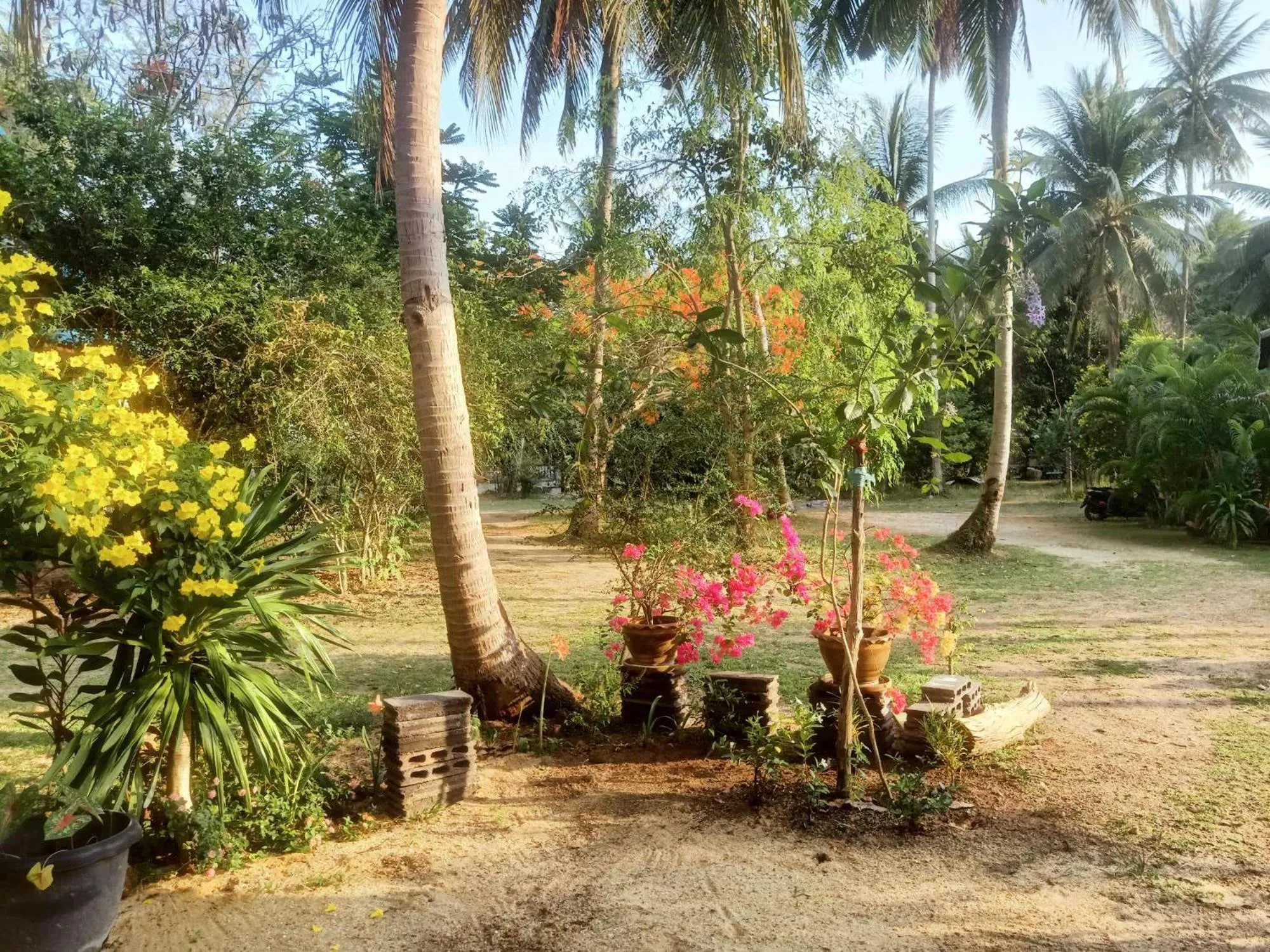 Natural landscape in Baan Moonchan House