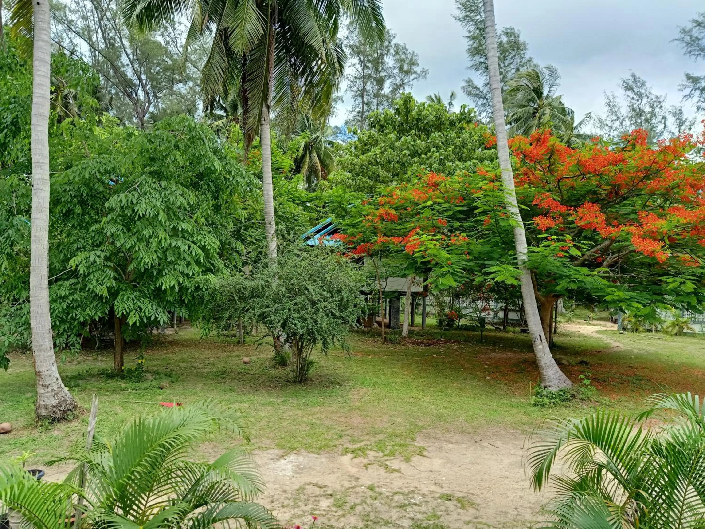 Natural landscape in Baan Moonchan House