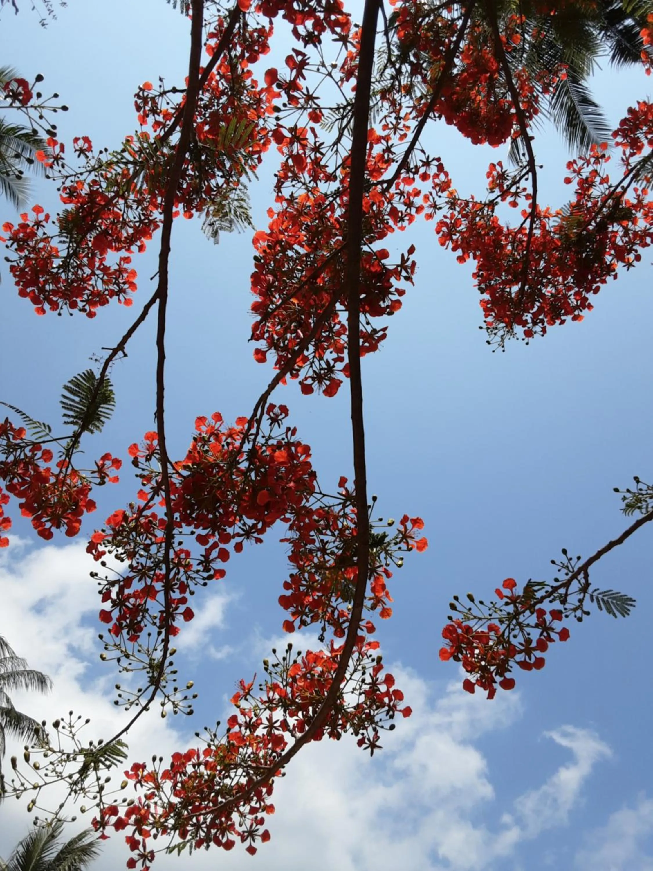 Day in Baan Moonchan House