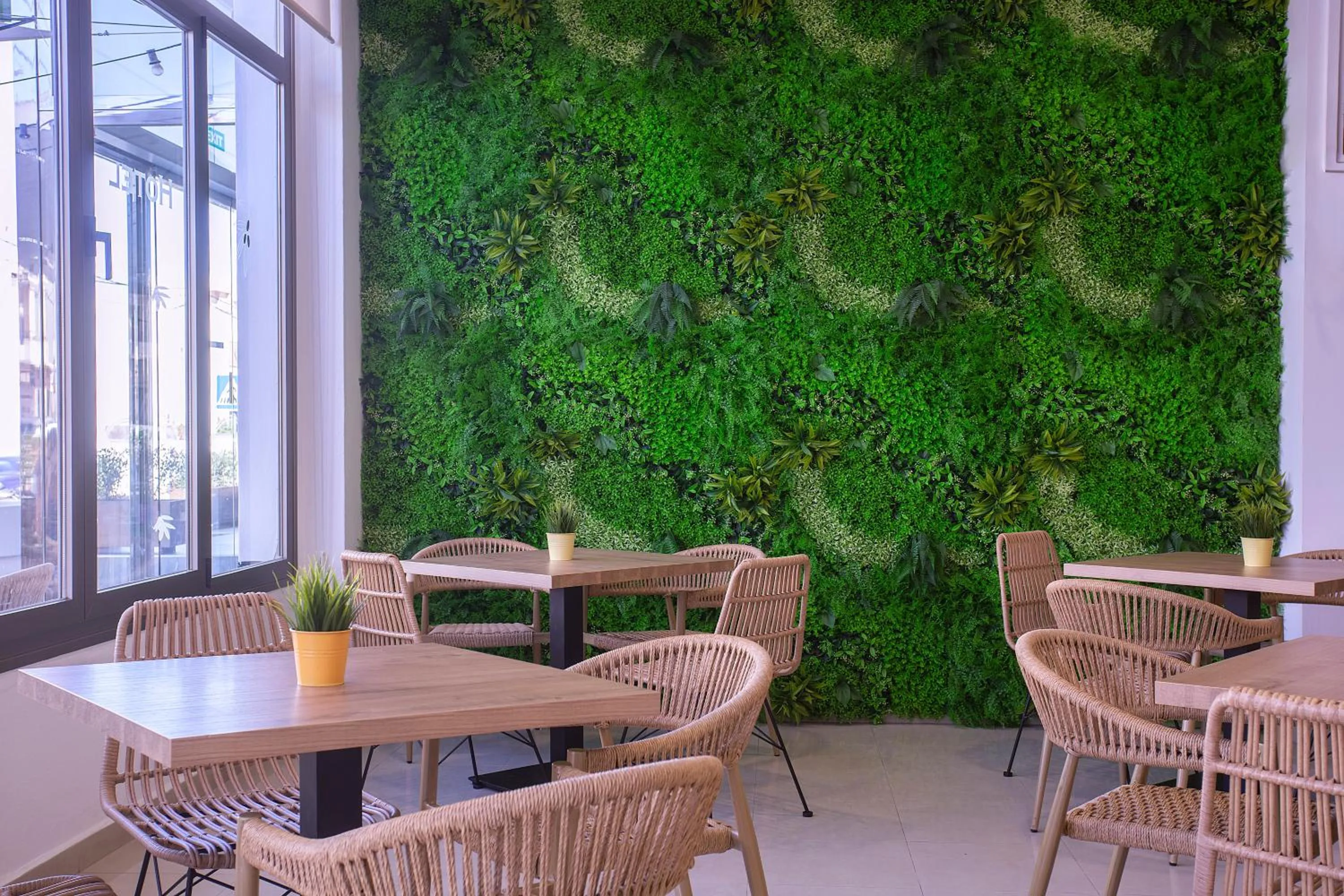 Other in Hotel Puchet Ibiza