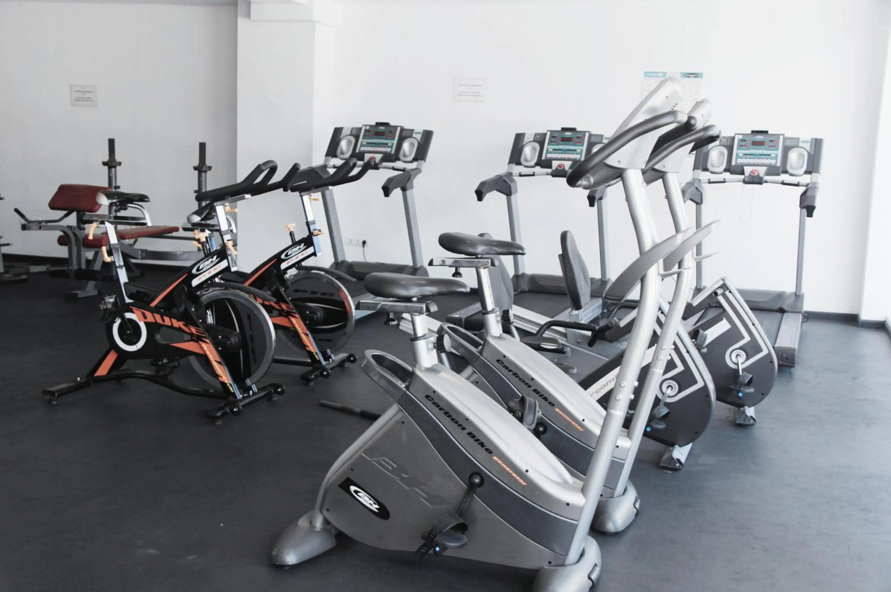 Activities in Hotel Puchet Ibiza