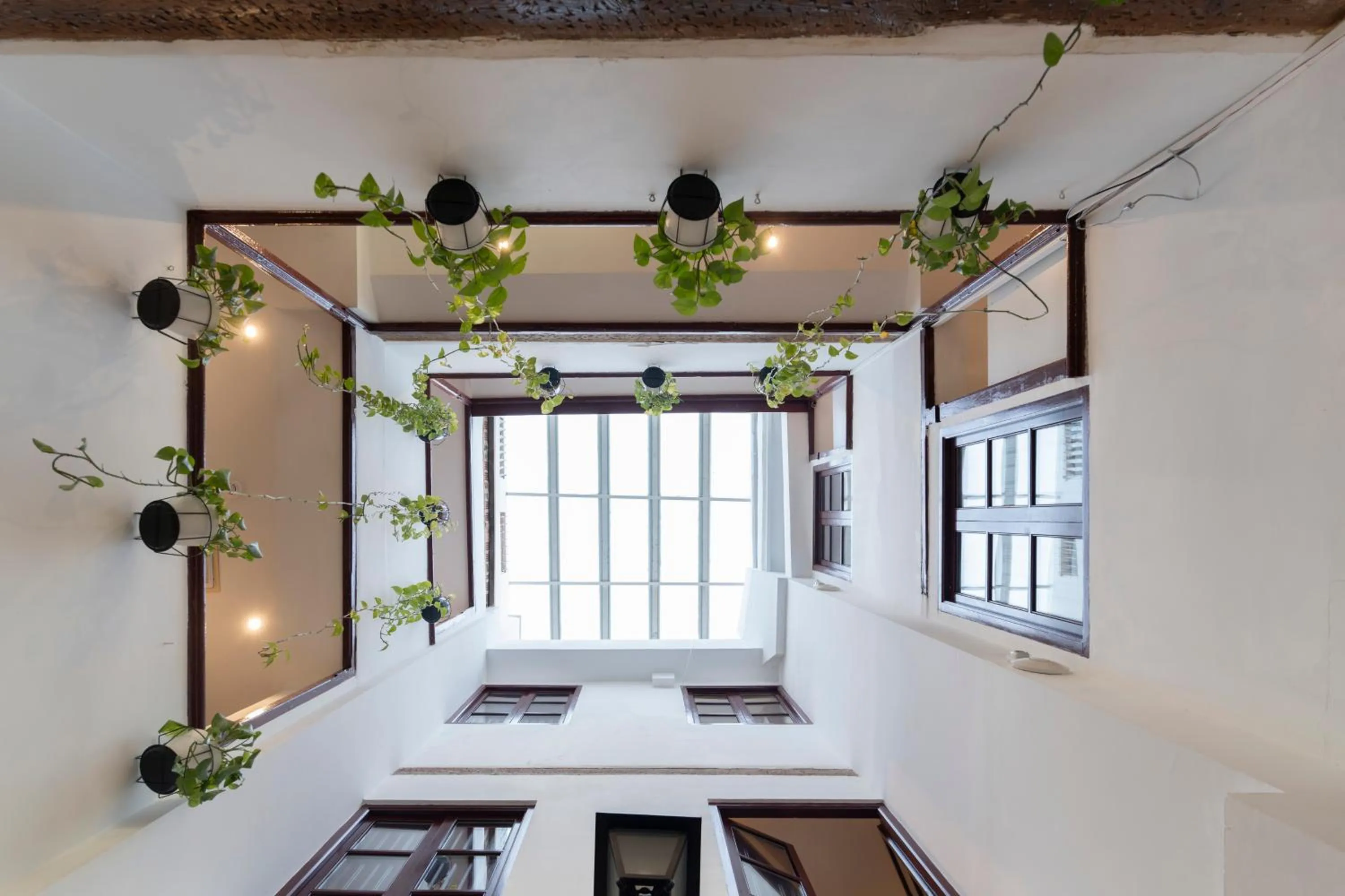 View (from property/room) in Home Youth Hostel by Feetup Hostels