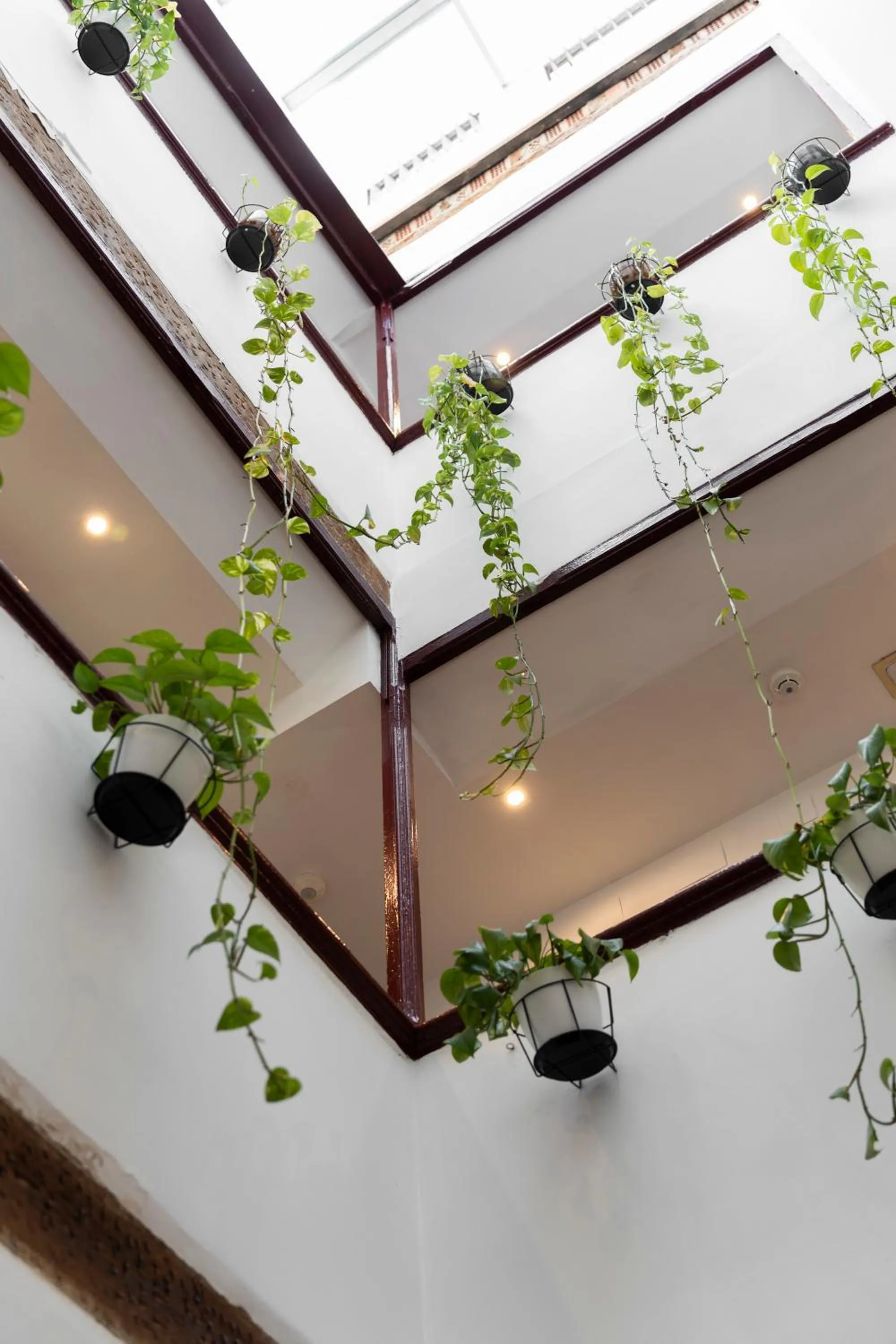 View (from property/room) in Home Youth Hostel by Feetup Hostels