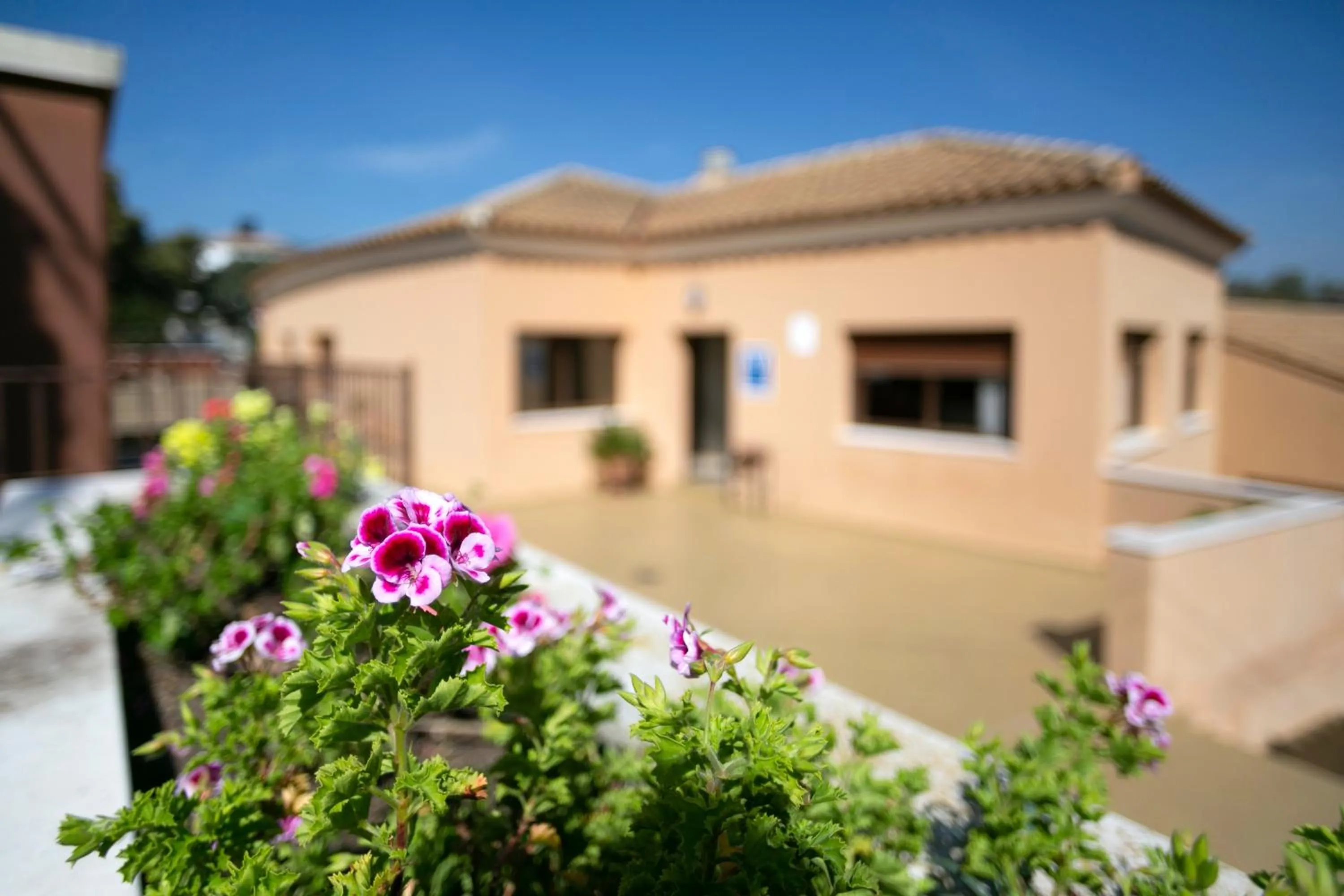 Property building in Apartamentos Turísticos La Castilleja