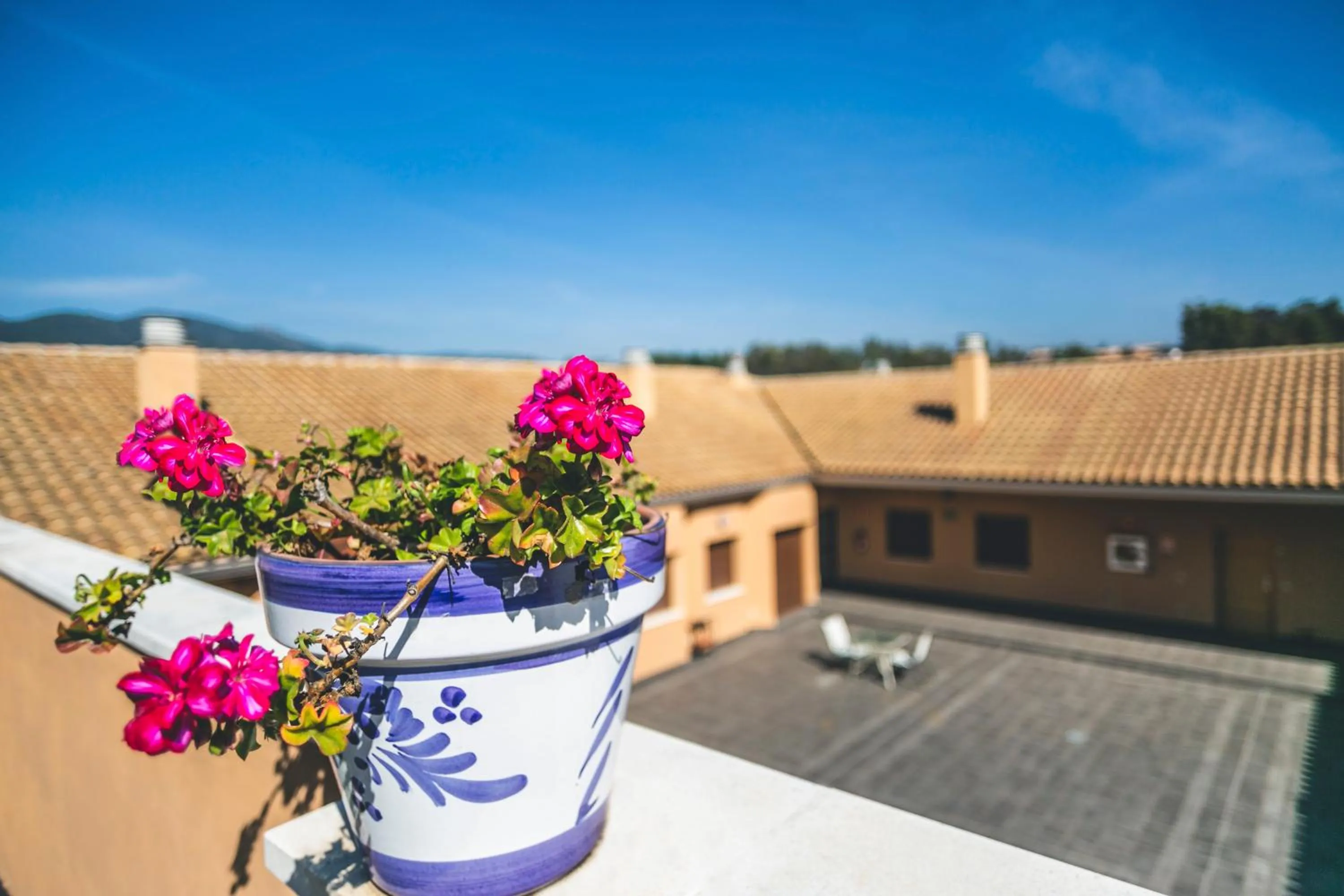 Balcony/Terrace in Apartamentos Turísticos La Castilleja