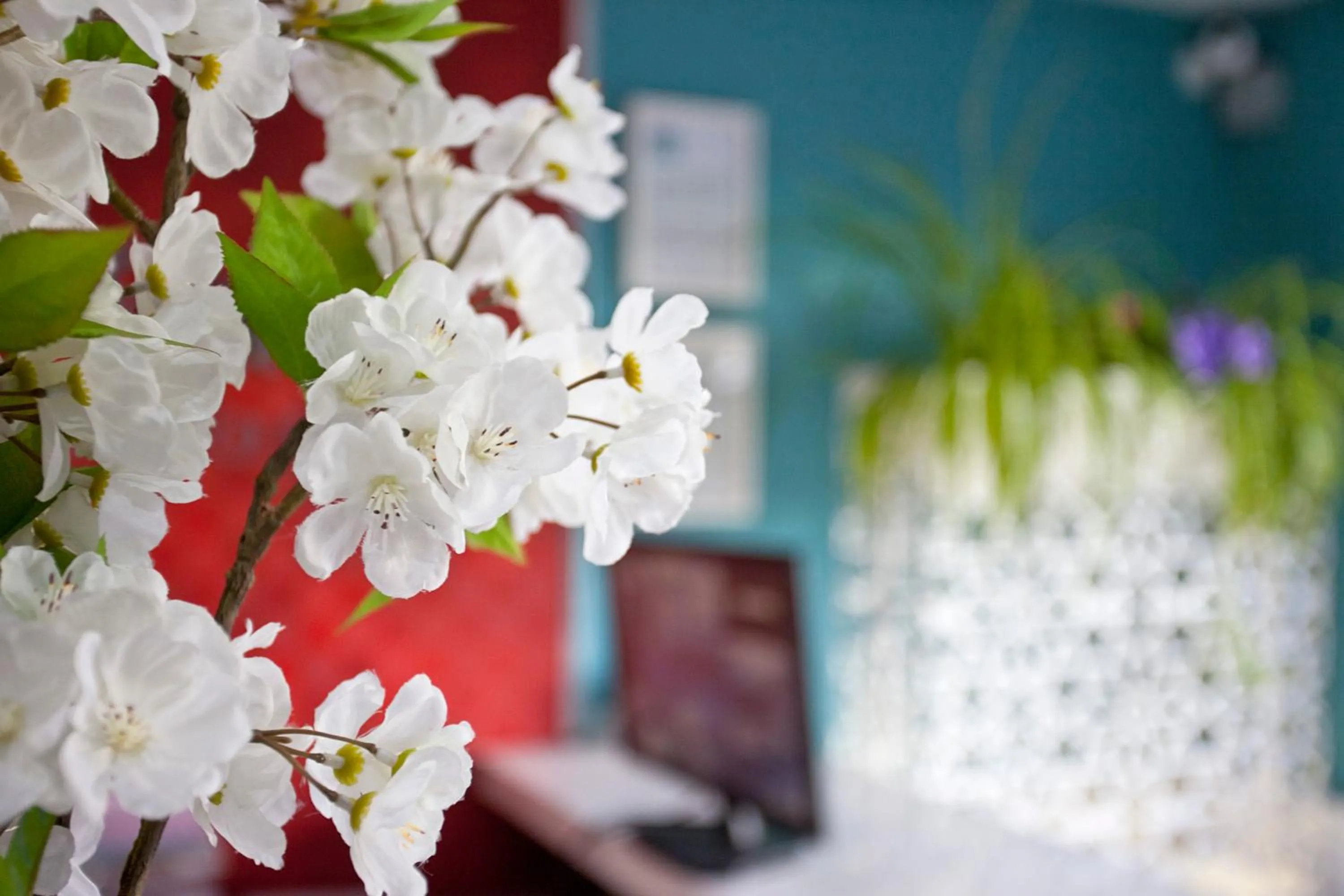 Other in Apartamentos Ecuador Park