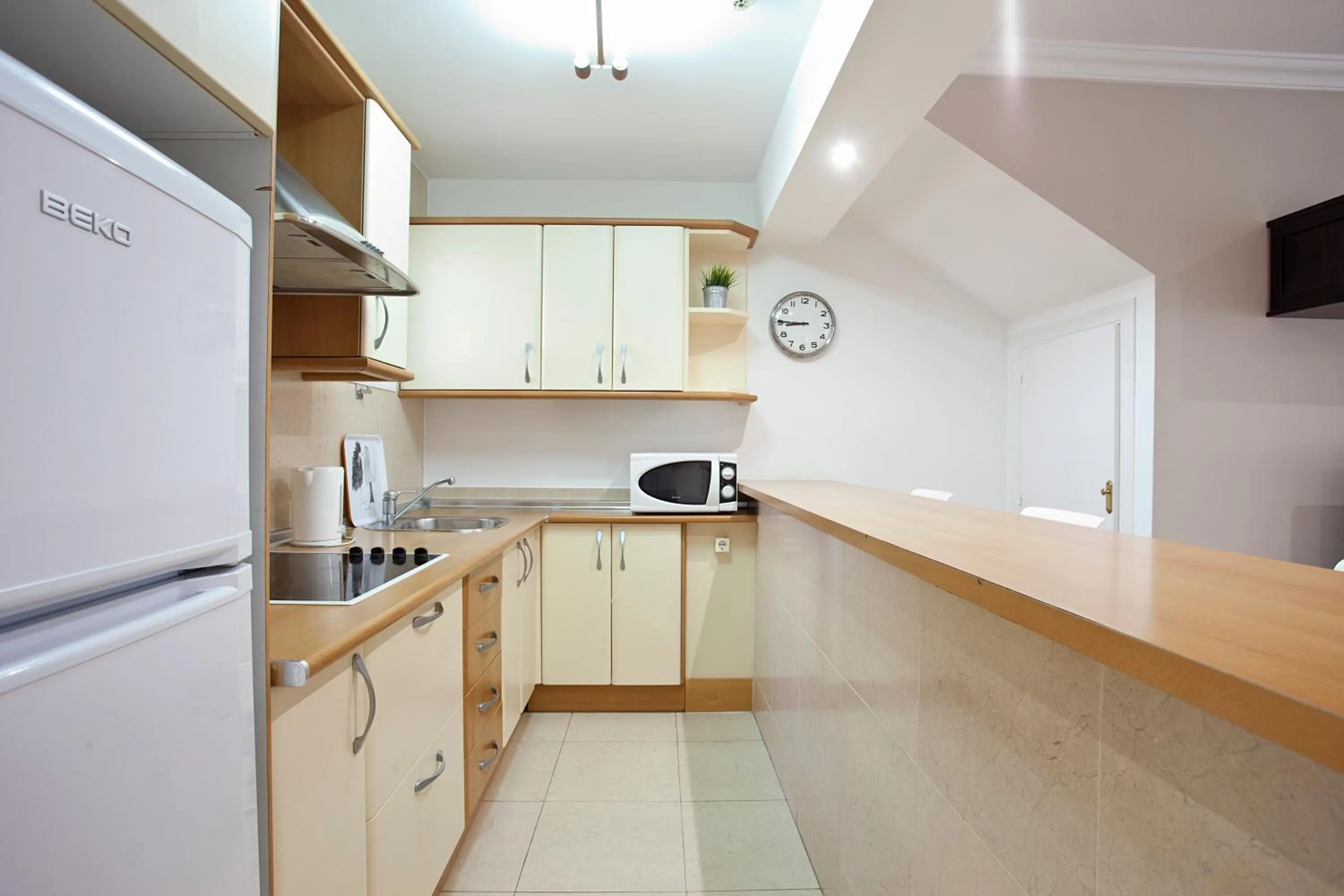 Kitchen or kitchenette in Apartamentos Ecuador Park