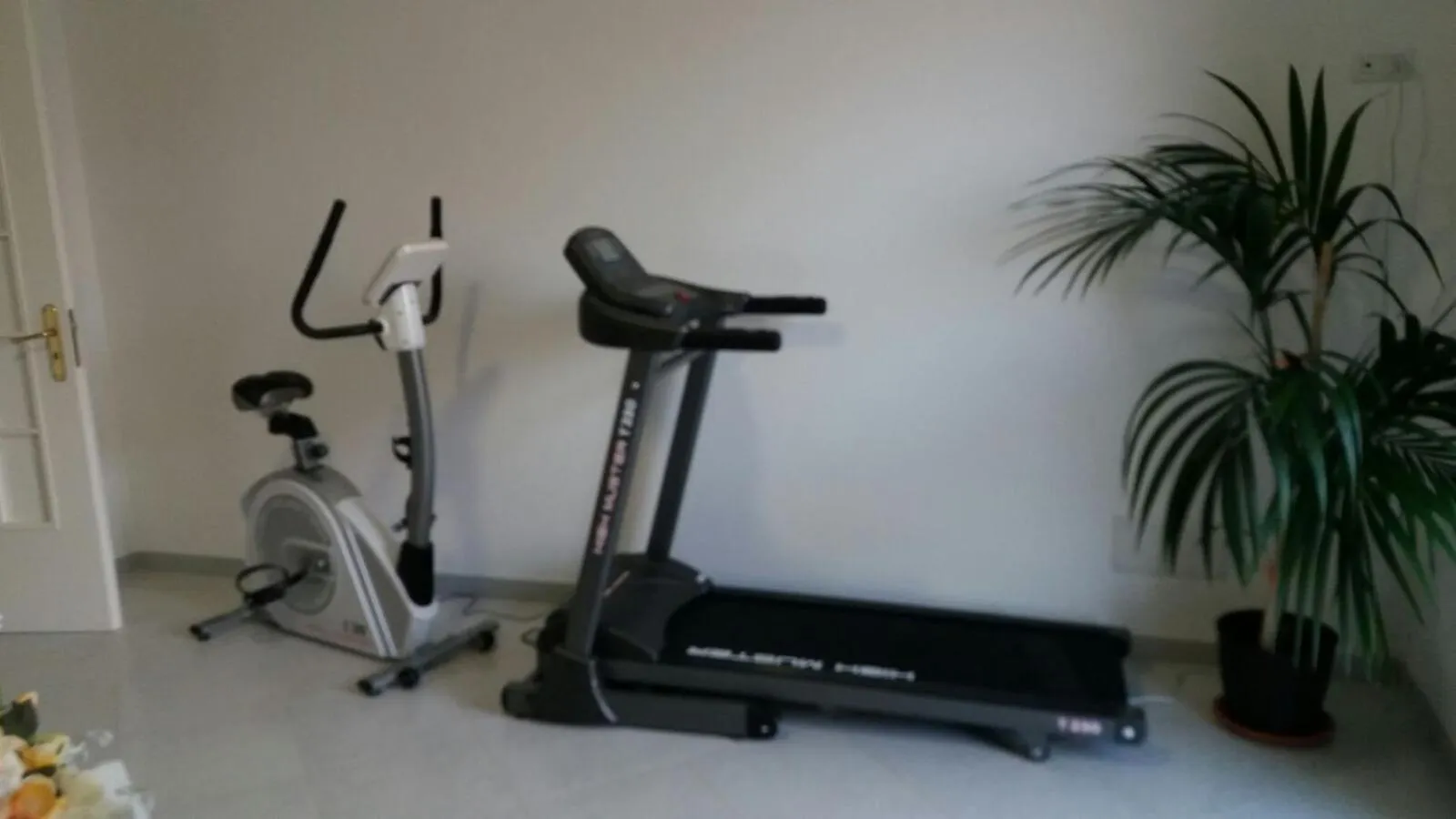 Sports in Ostello Villafranca