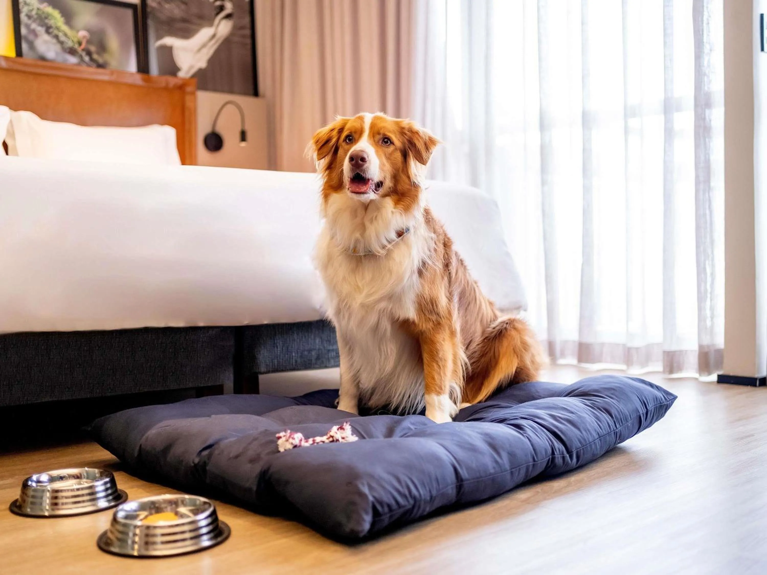 Other in Grand Mercure SP Itaim Bibi