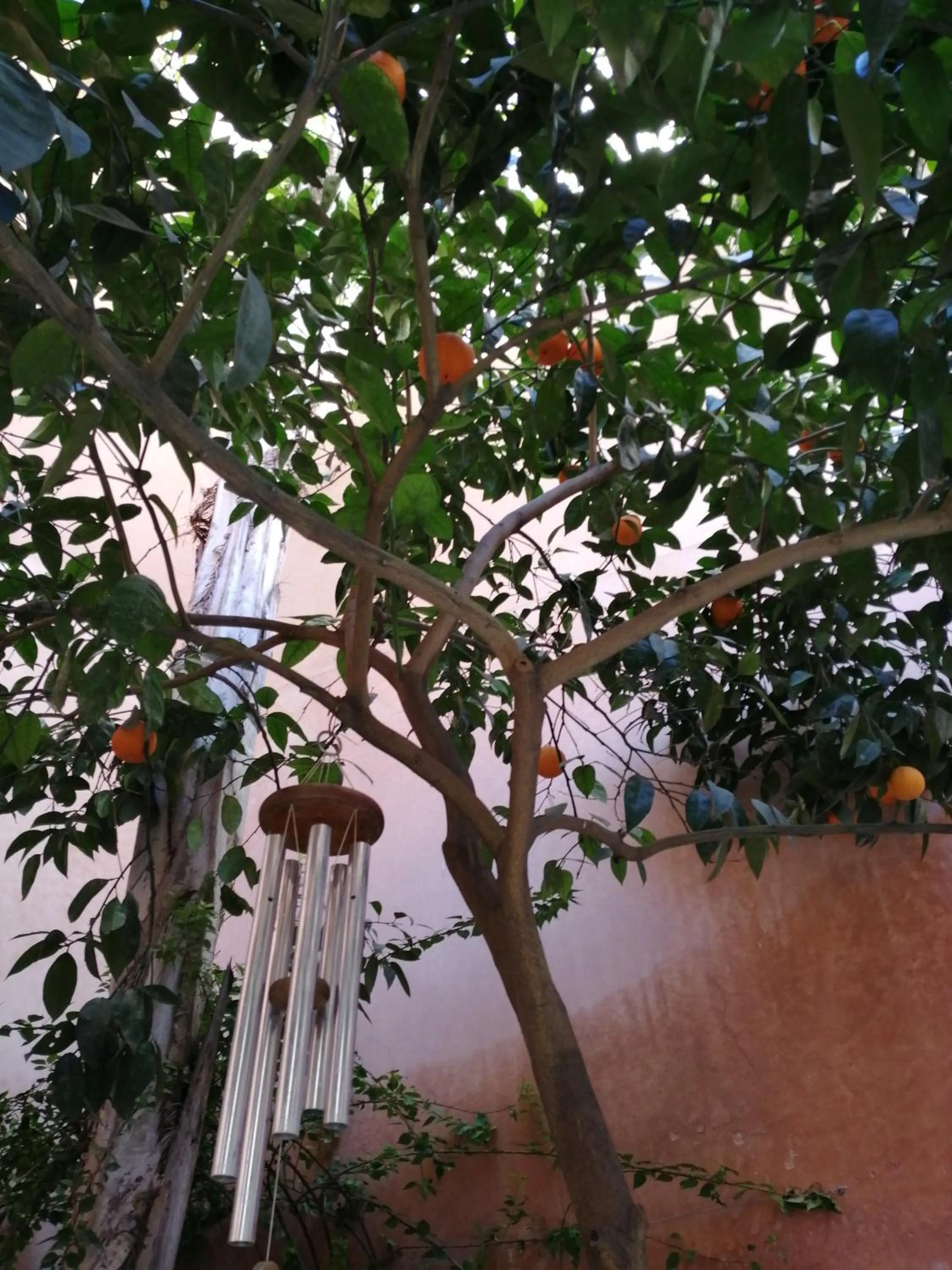 Les Bains de Fez Tara