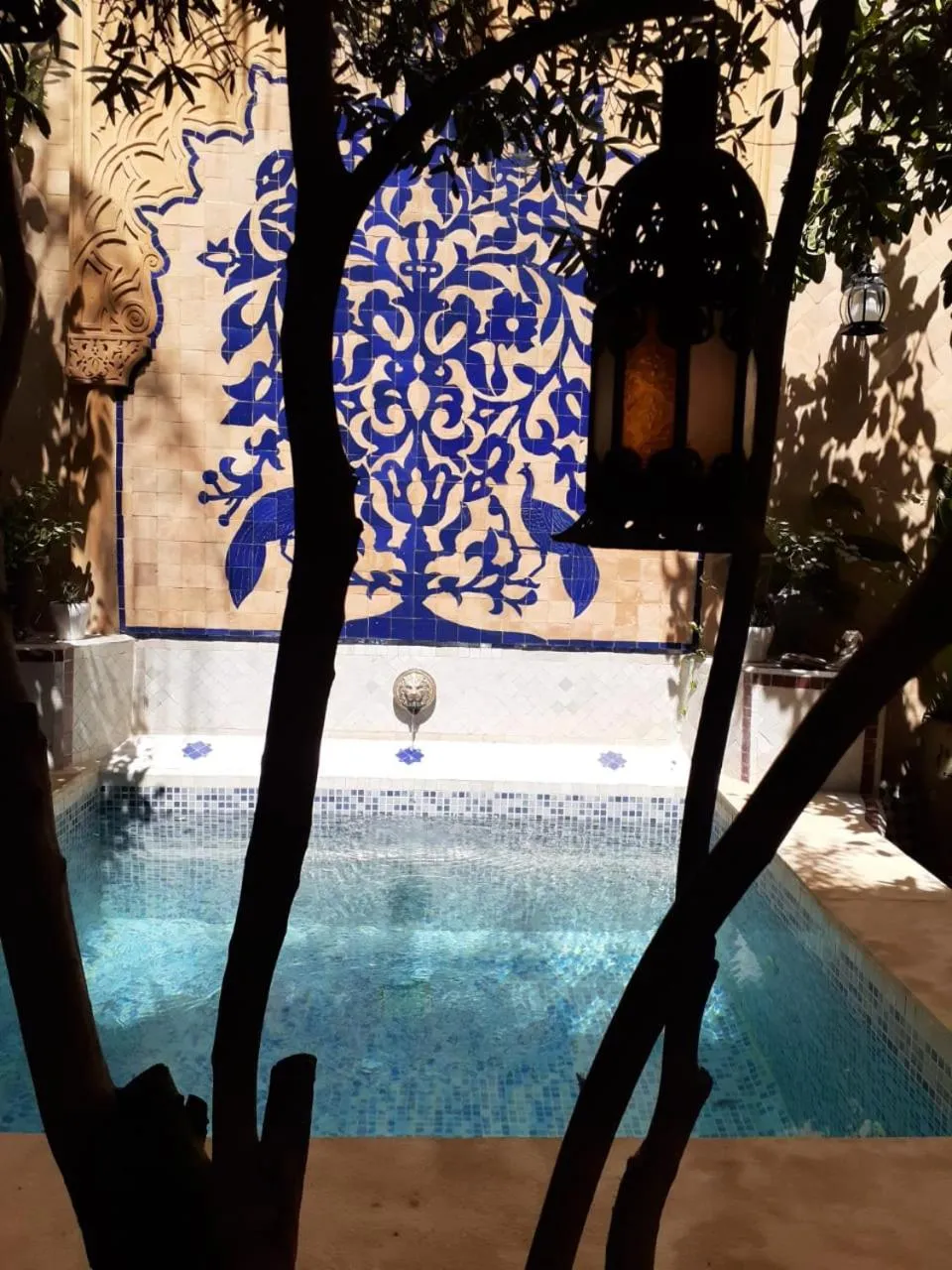 Les Bains de Fez Tara