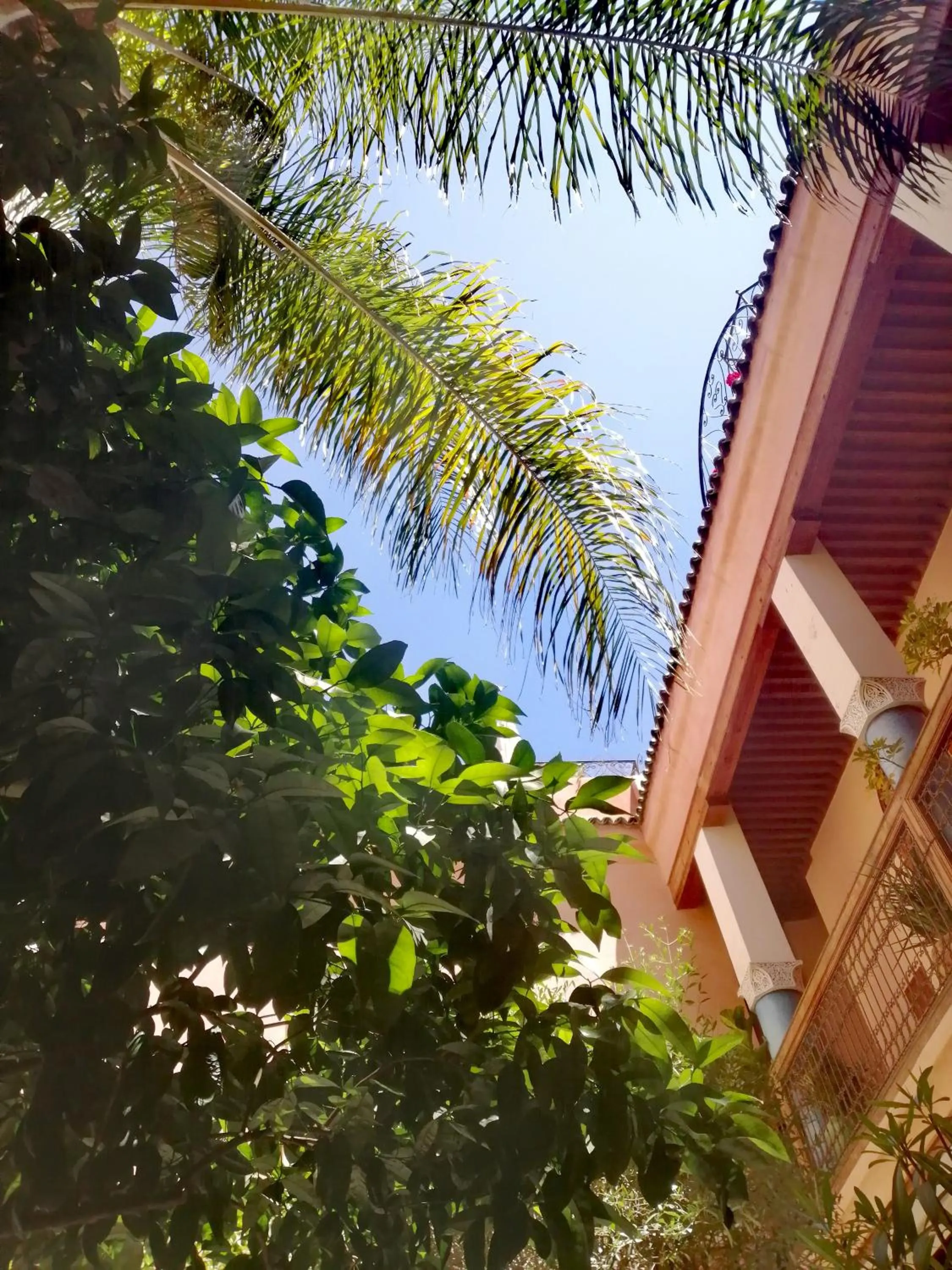 Les Bains de Fez Tara