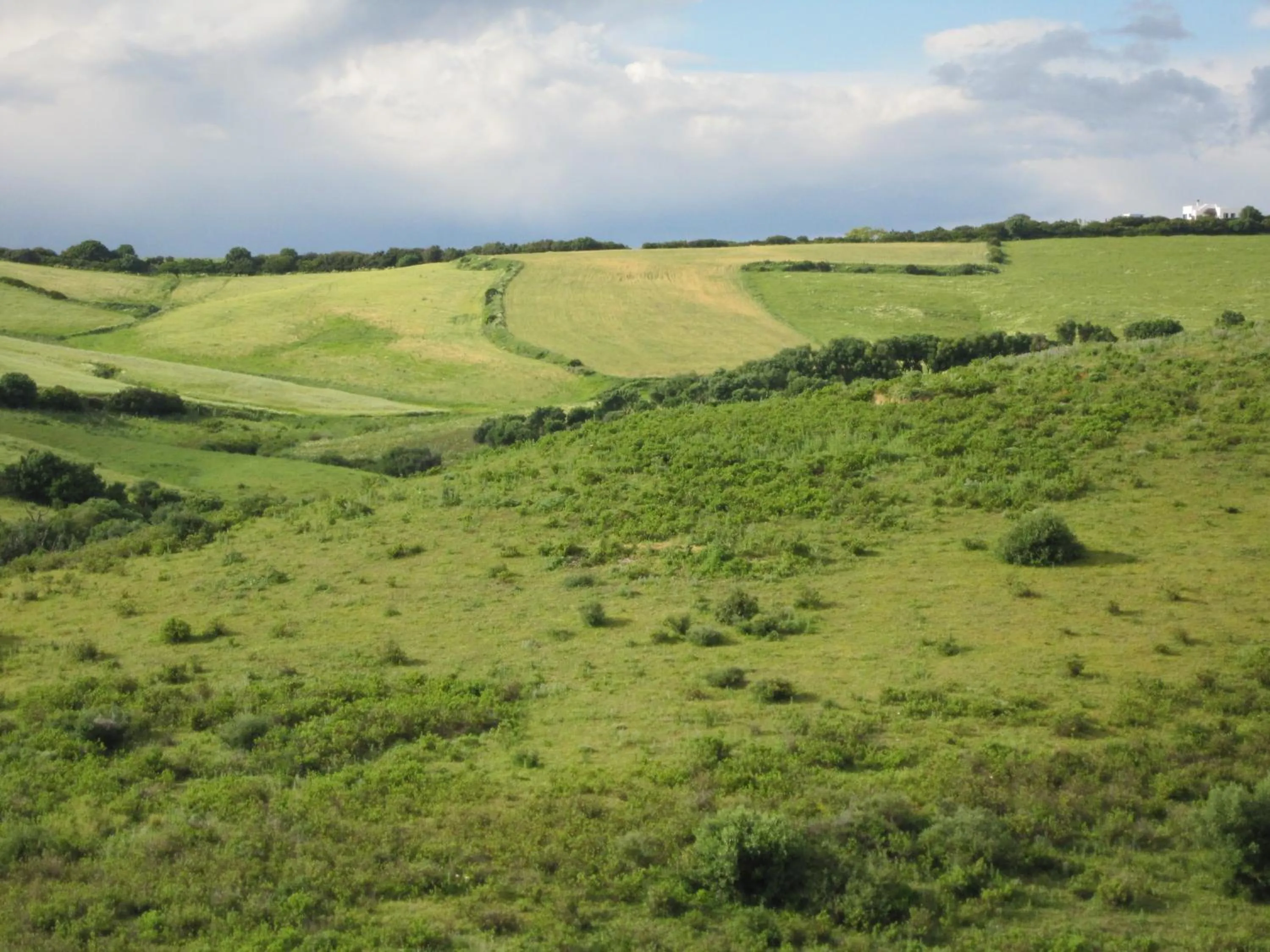 Natural landscape in Hotel Sindhura