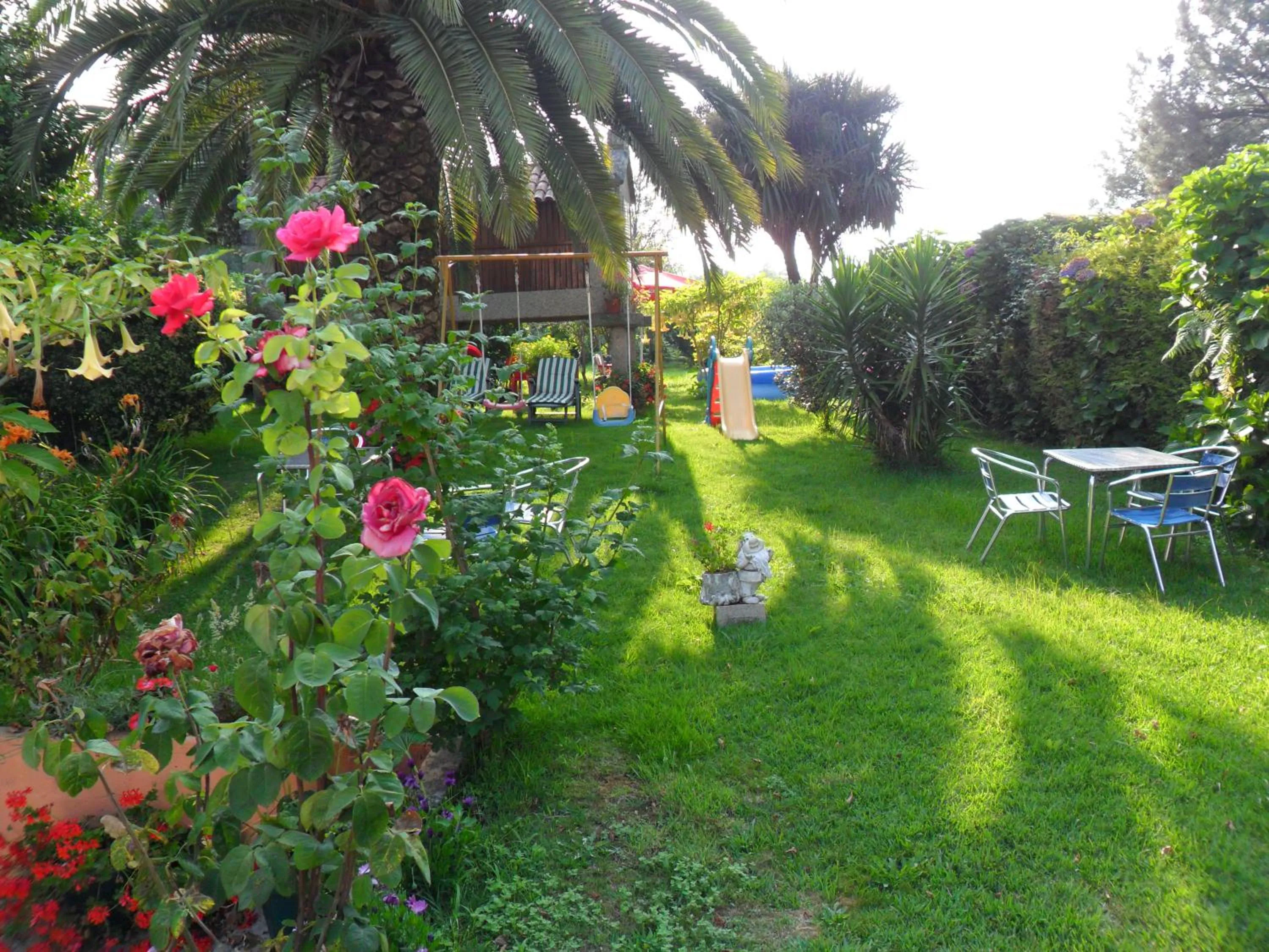 Garden in Hotel Vimar