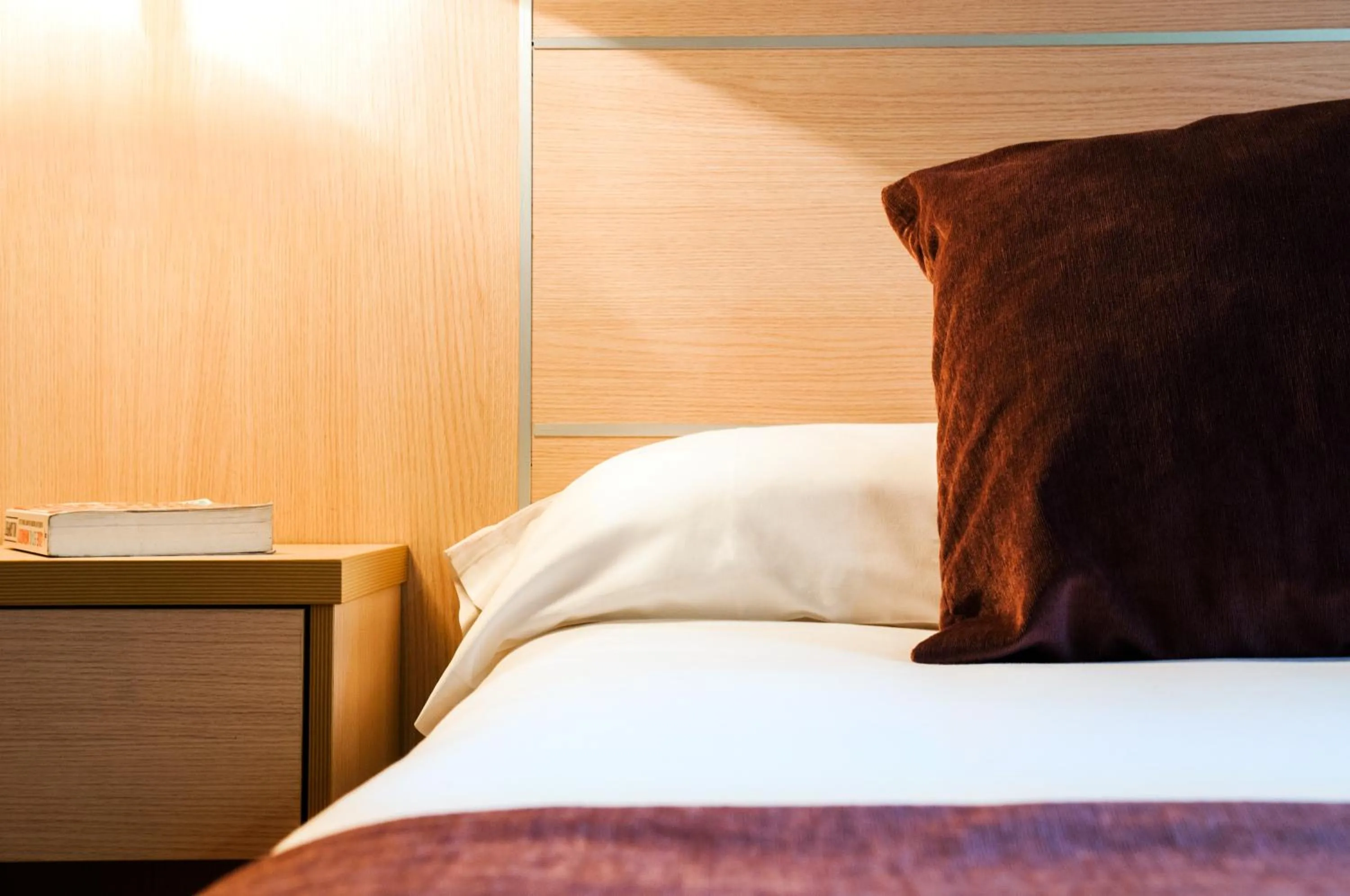 Bed in Hotel Balneario Areatza Nº 01224