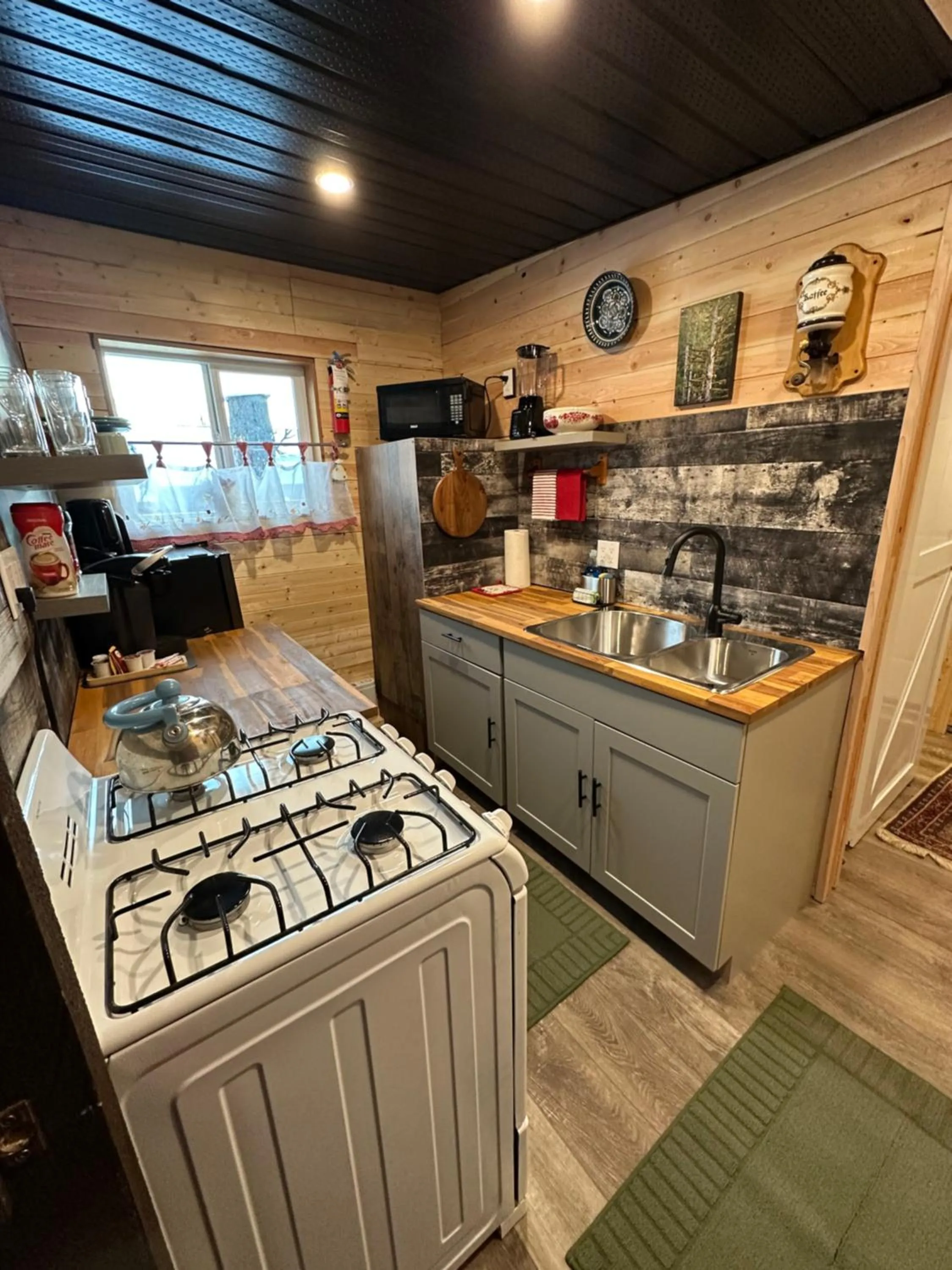 Kitchen or kitchenette in Guesthouse Austria