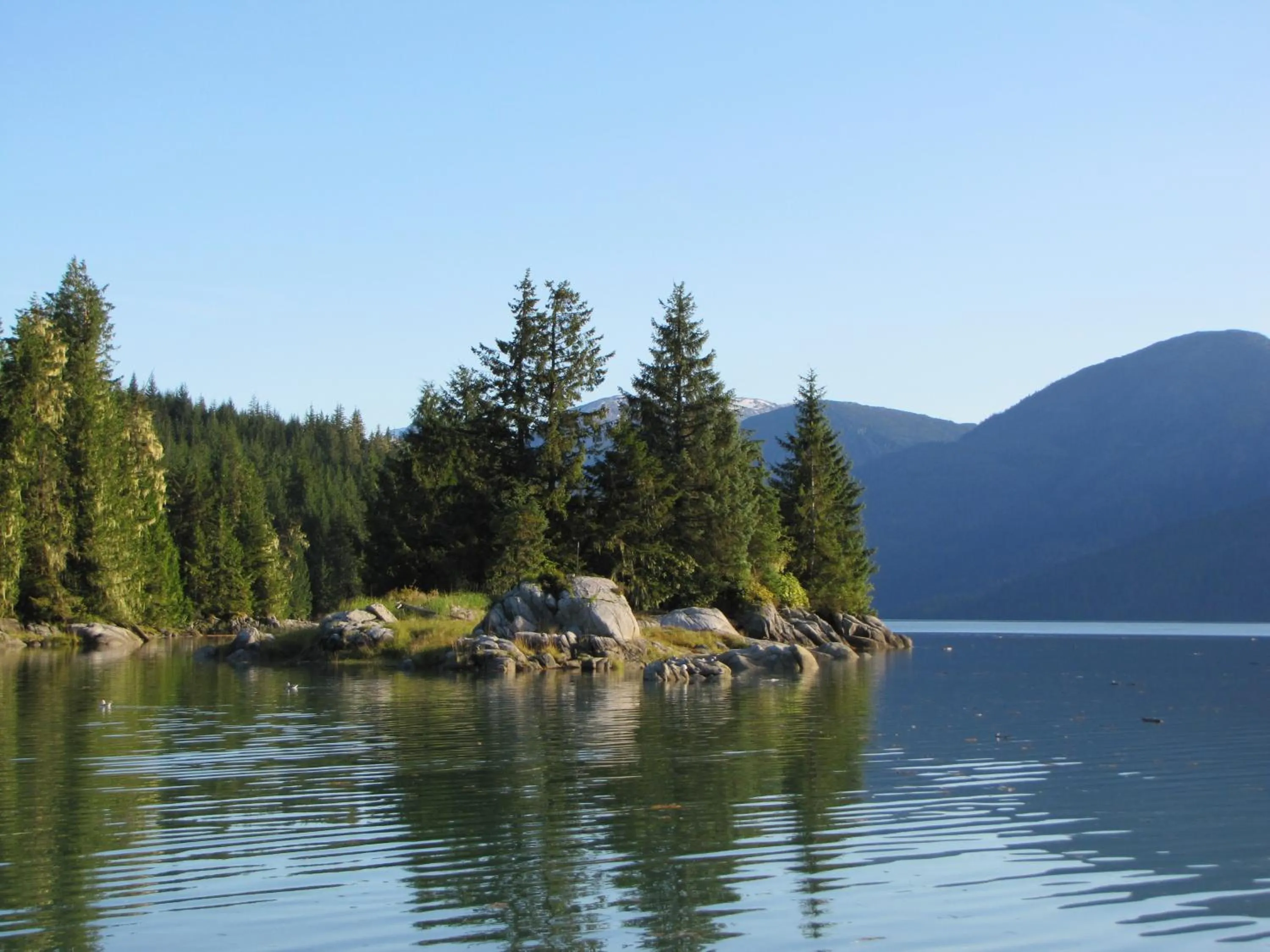 Natural landscape in Guesthouse Austria