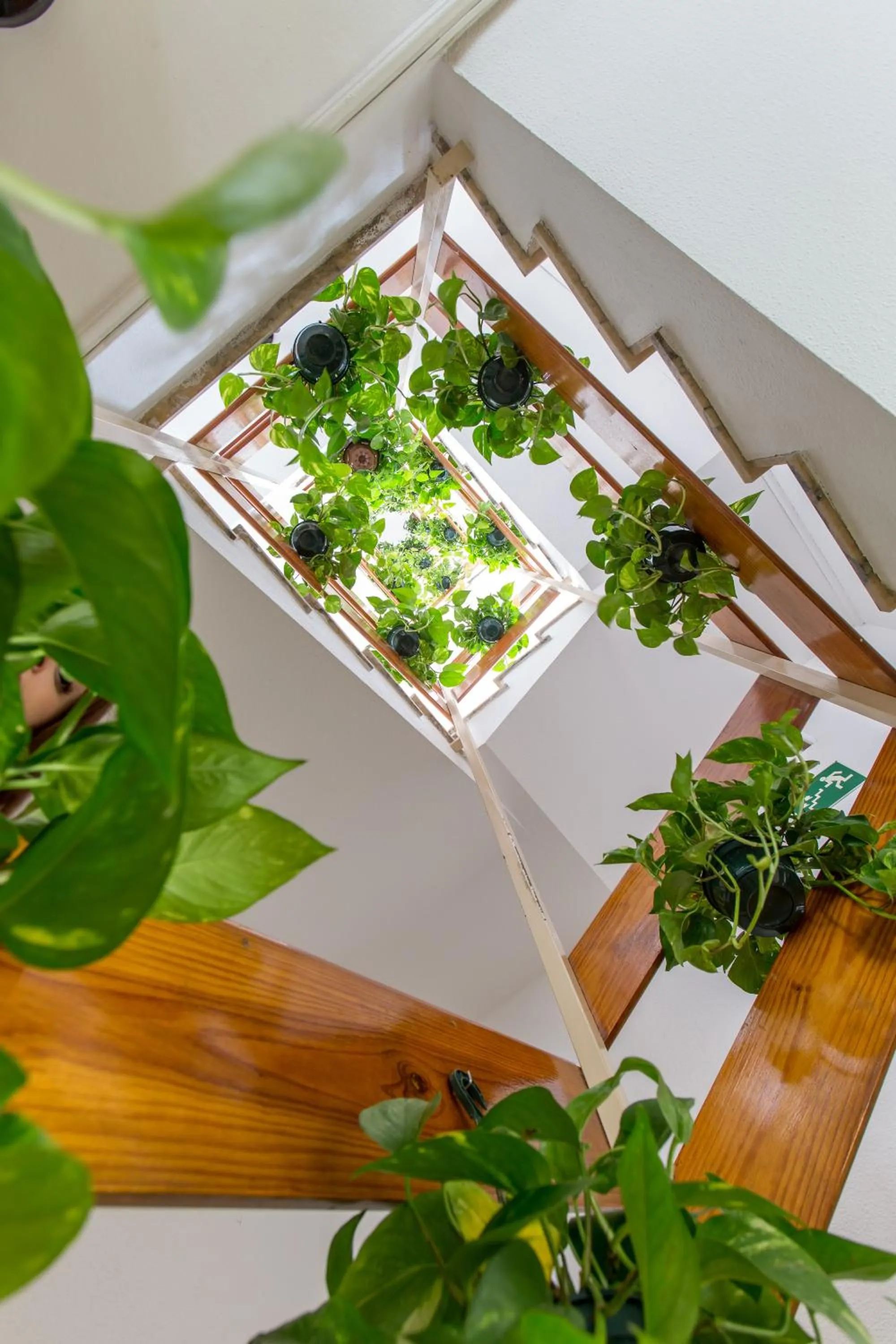 Decorative detail in Hotel Olympia Ronda I