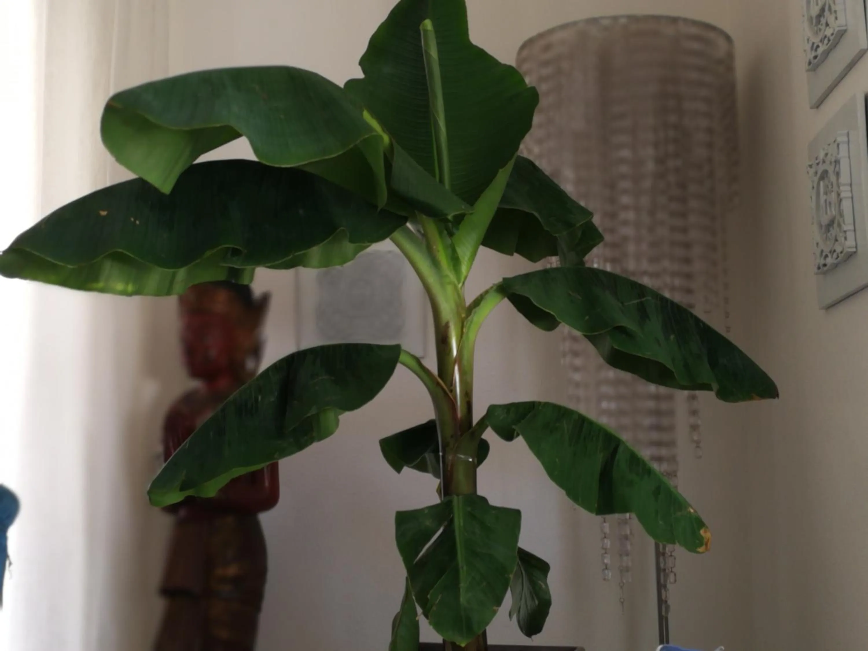 Decorative detail in La Casa di Nina