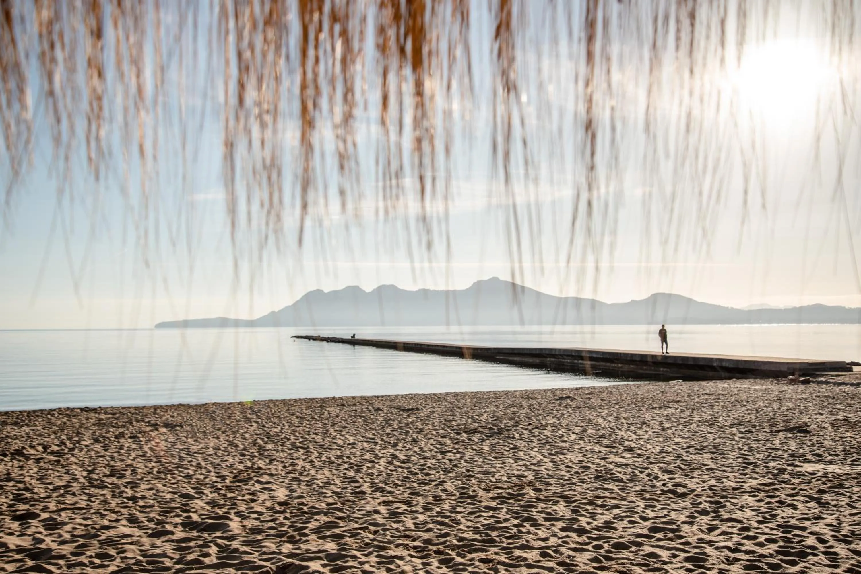 Beach in Hotel Bahia Pollensa