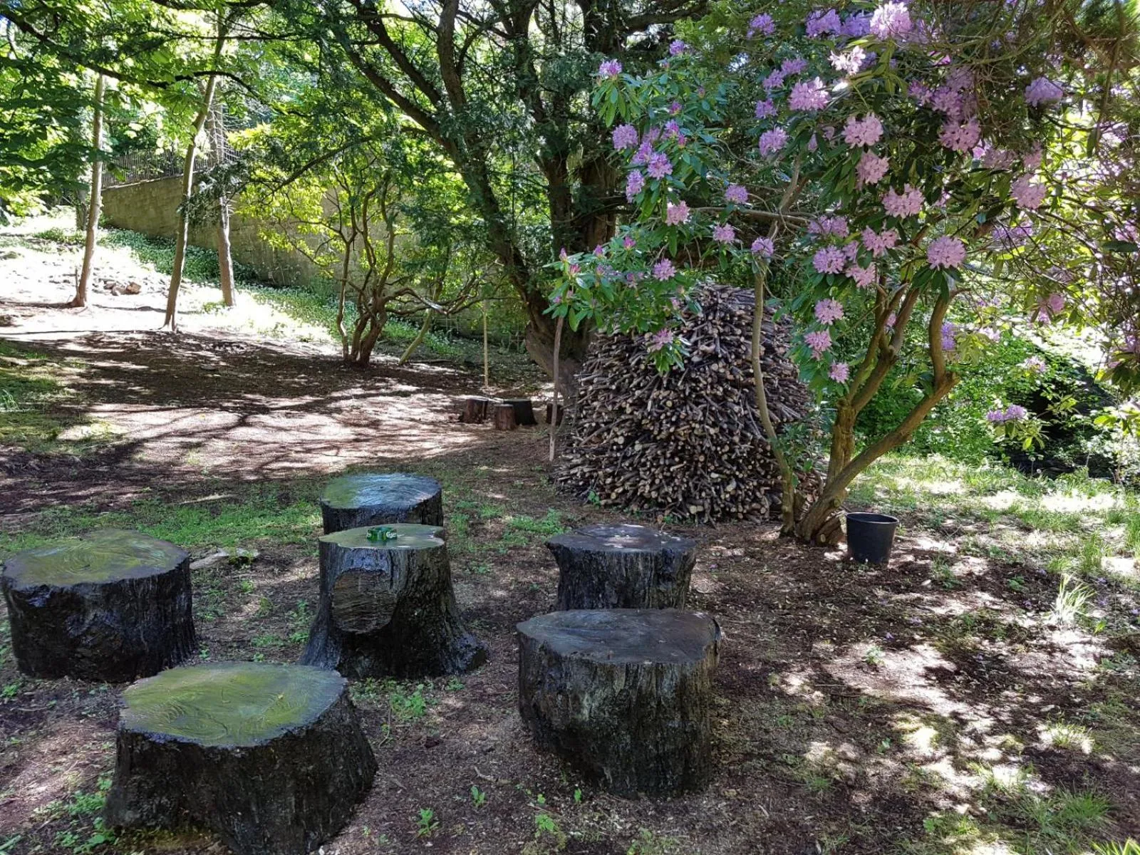 Spring in Bonkle House