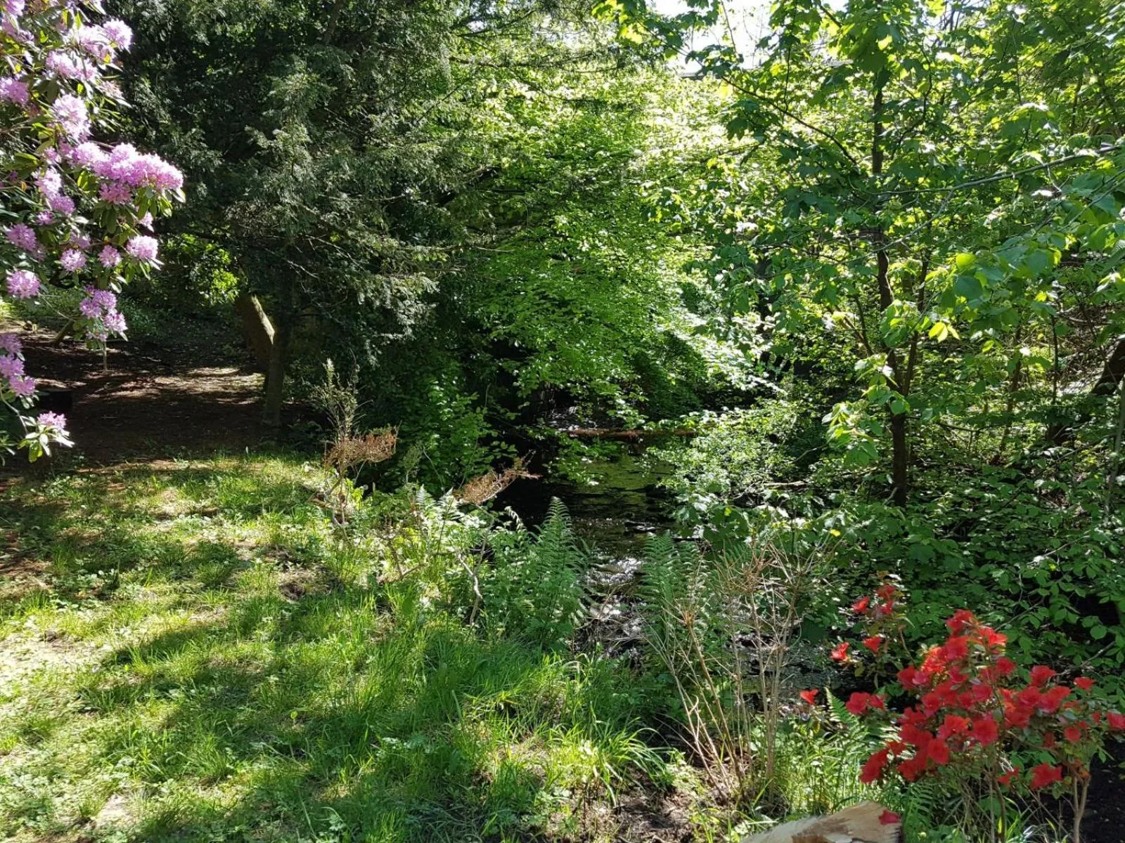 Natural landscape in Bonkle House