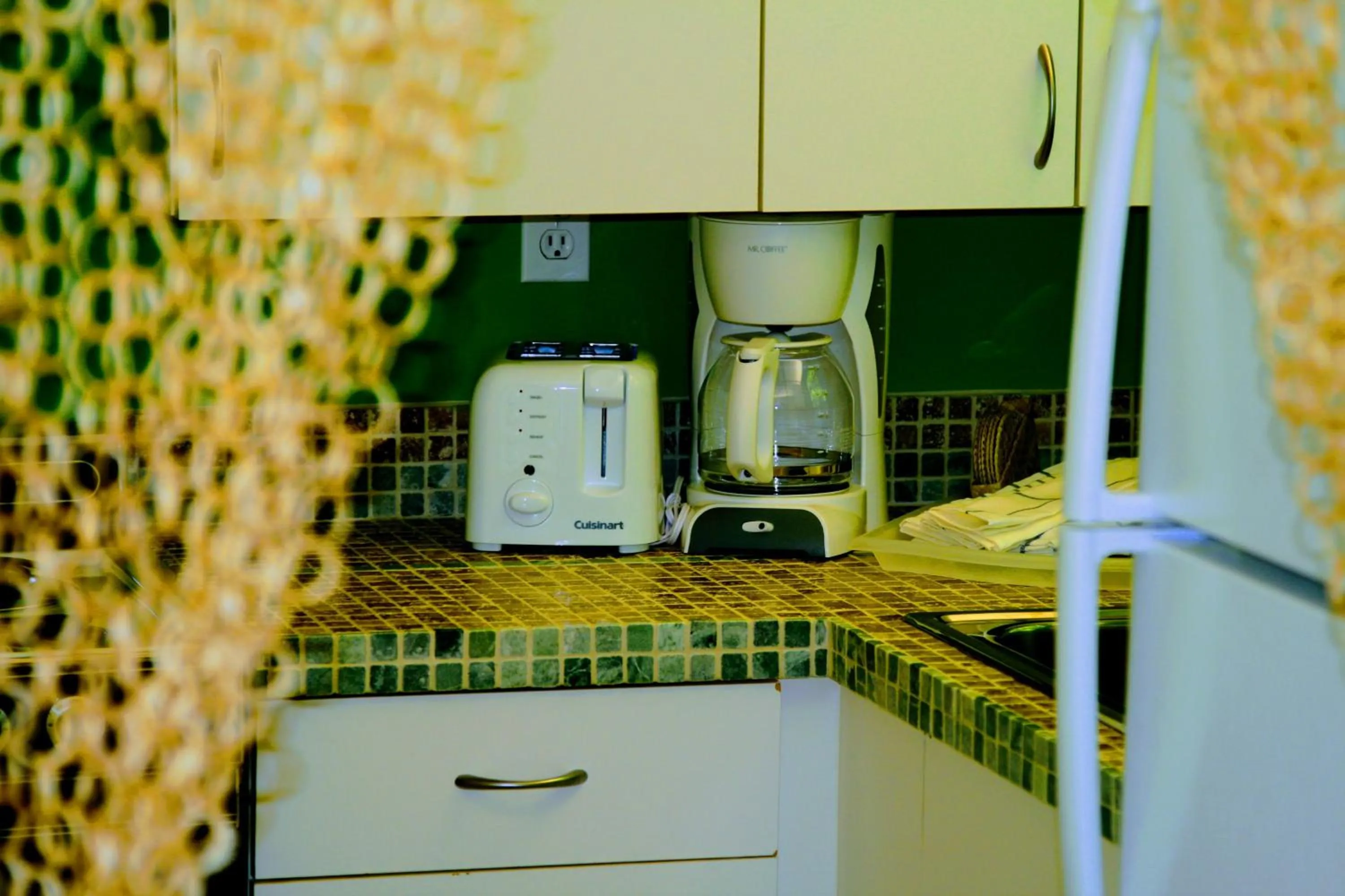 Kitchen or kitchenette in Villa Venezia