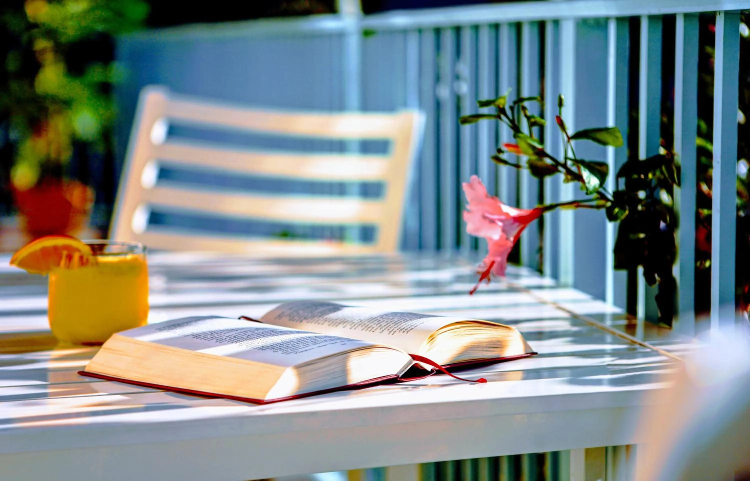 Property building in Villa Venezia