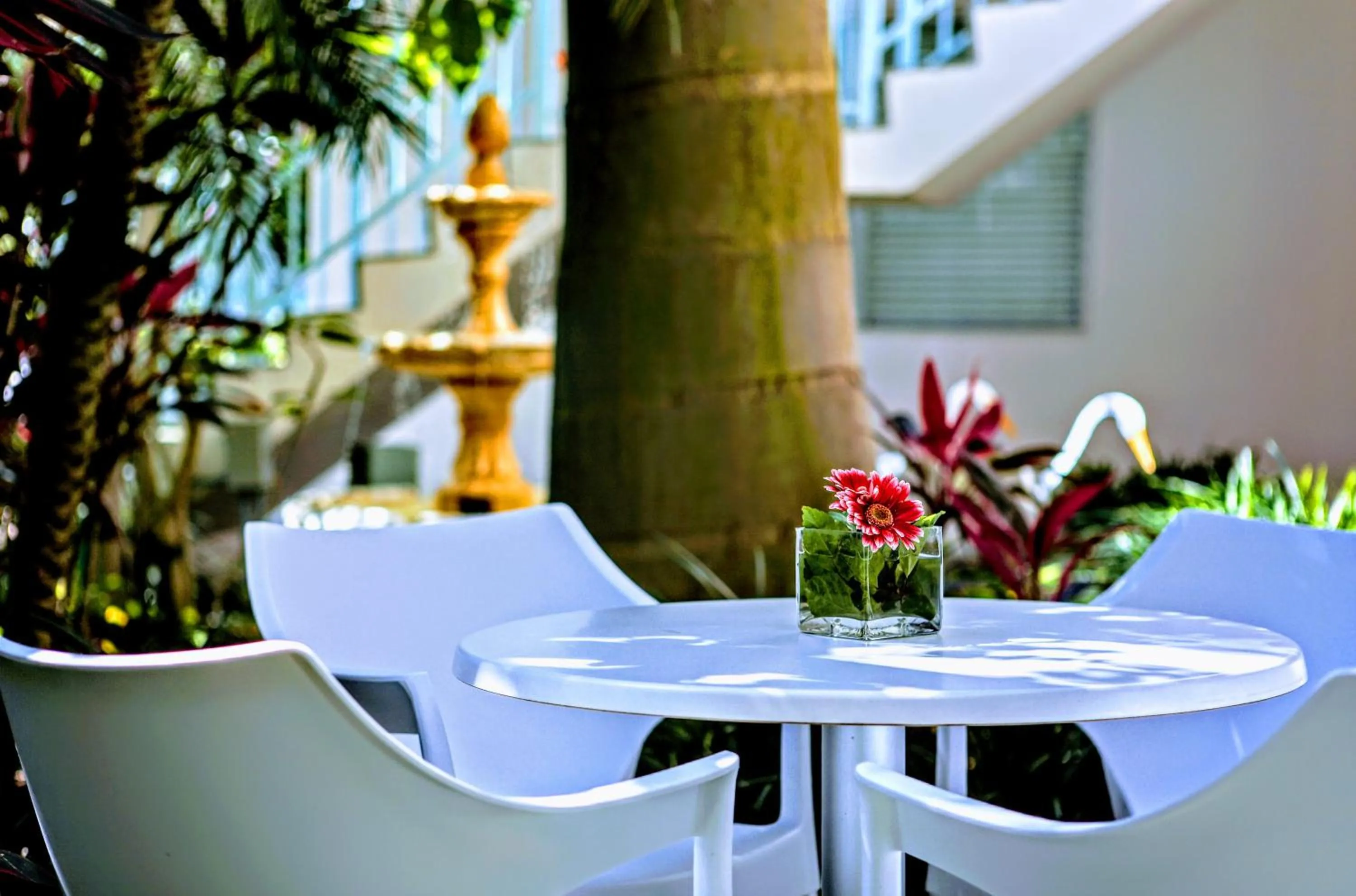 Patio in Villa Venezia