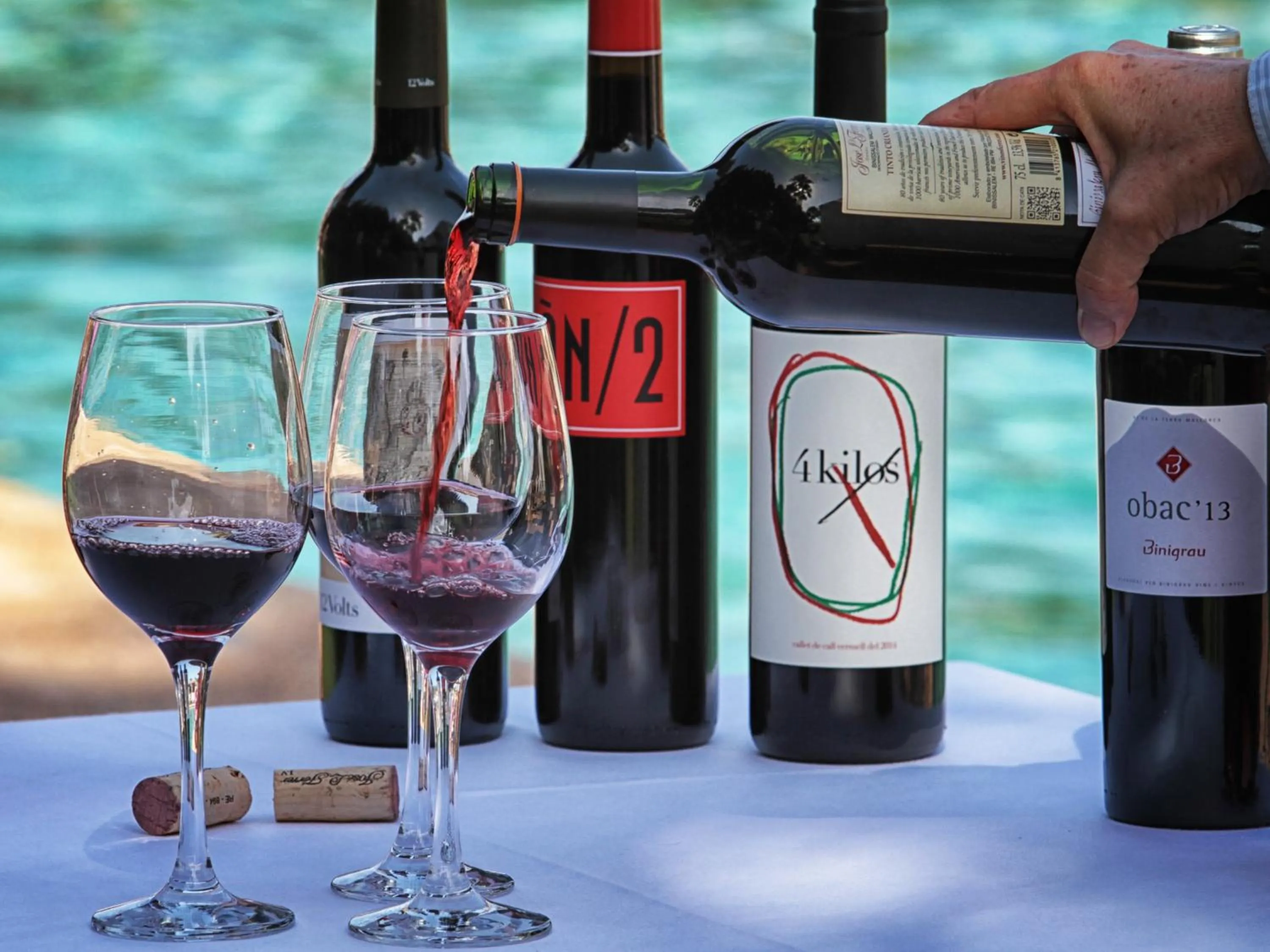 Drinks in Sa Bassa Rotja Ecoturisme